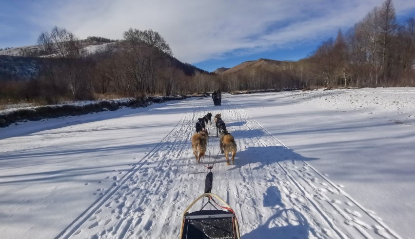 【週末利用】冬のモンゴル4日間｜犬ぞり・乗馬・遊牧民体験・ゲル泊
