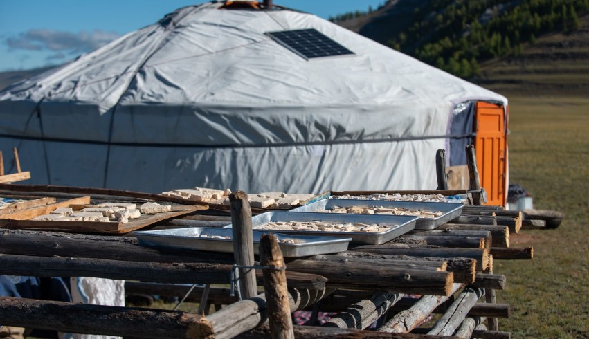 Mongolian Food Culture: Tasting Traditional Nomadic Dishes