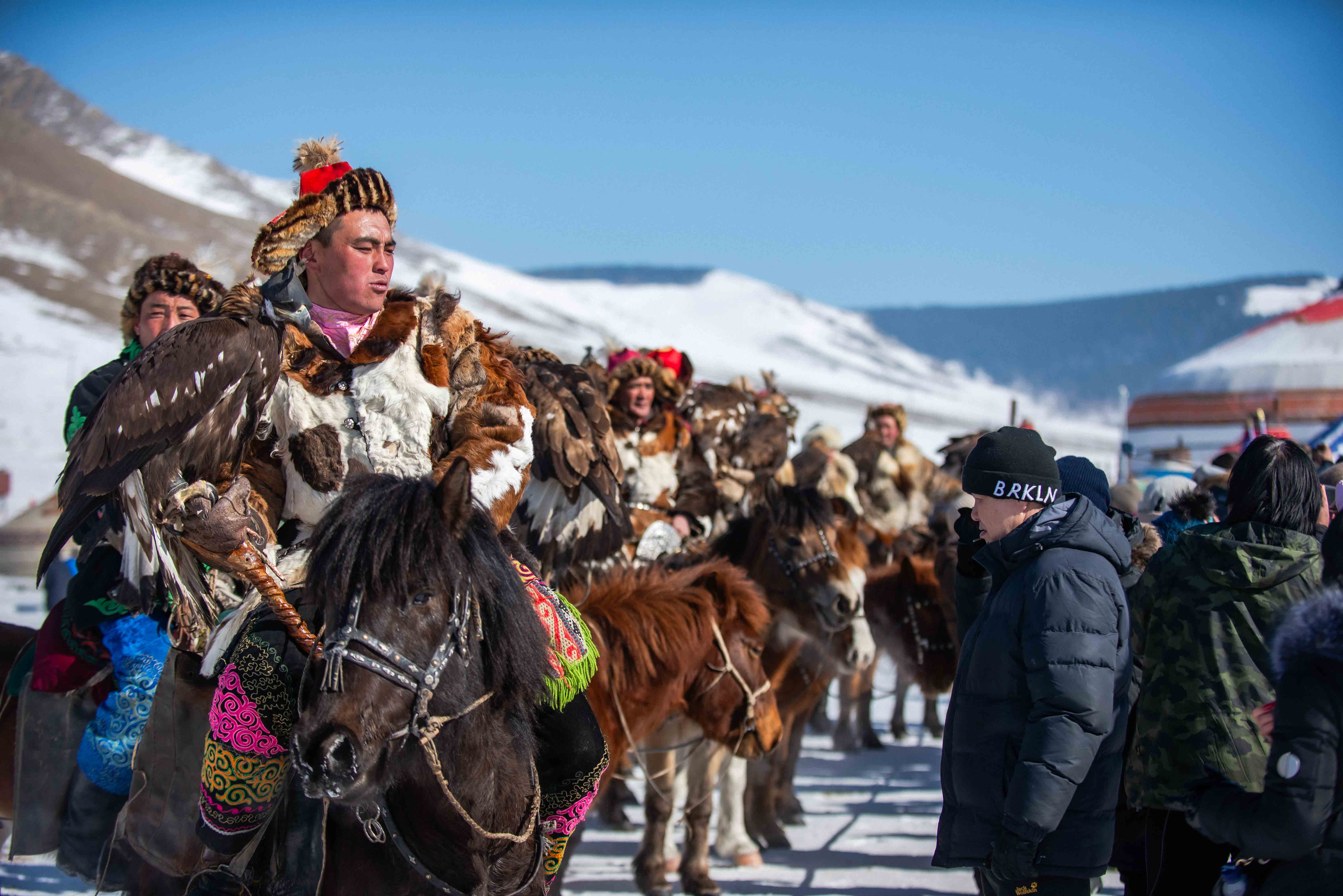 「マヌルネコに会い、鷹狩りを楽しむモンゴル6日間