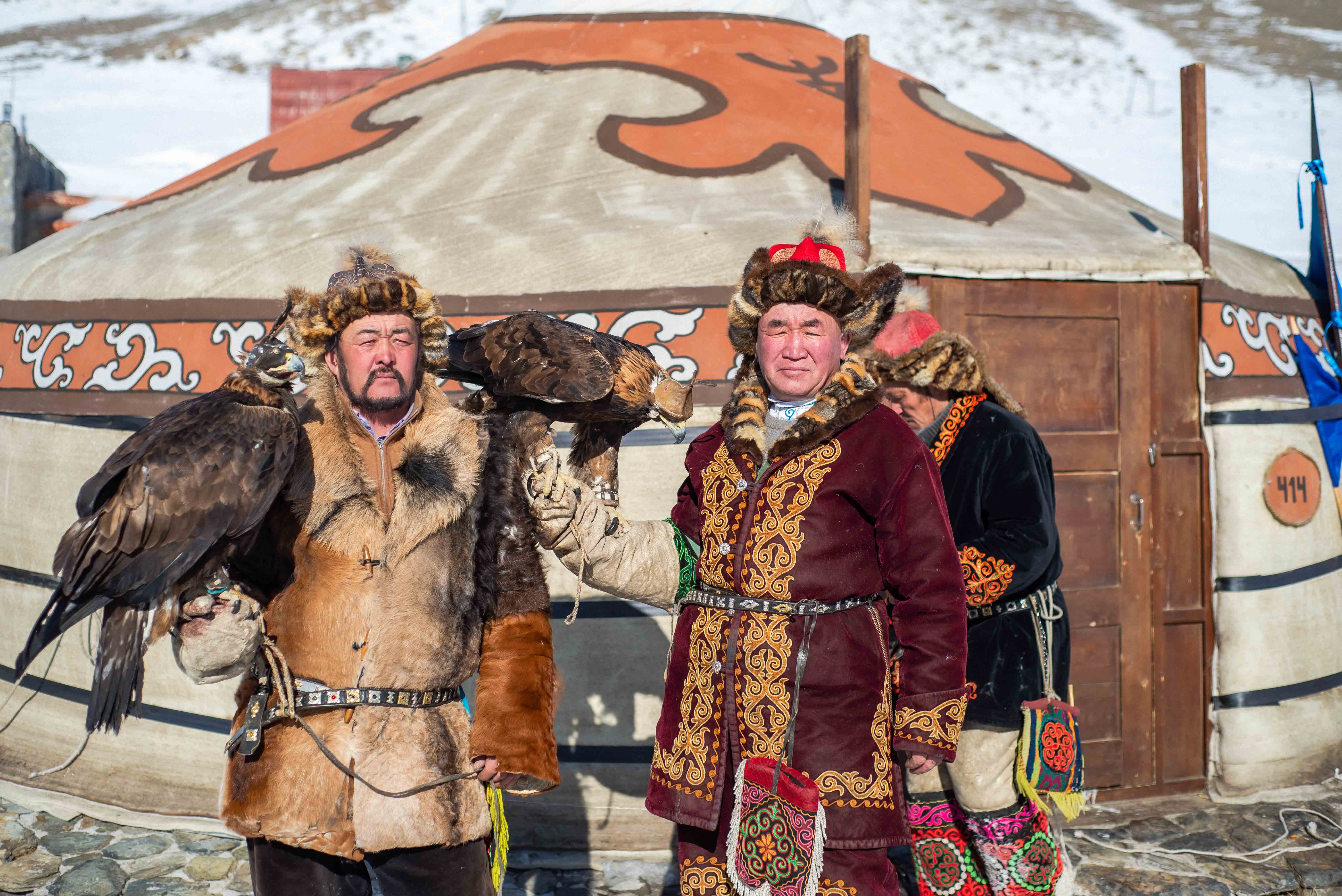 「マヌルネコに会い、鷹狩りを楽しむモンゴル6日間