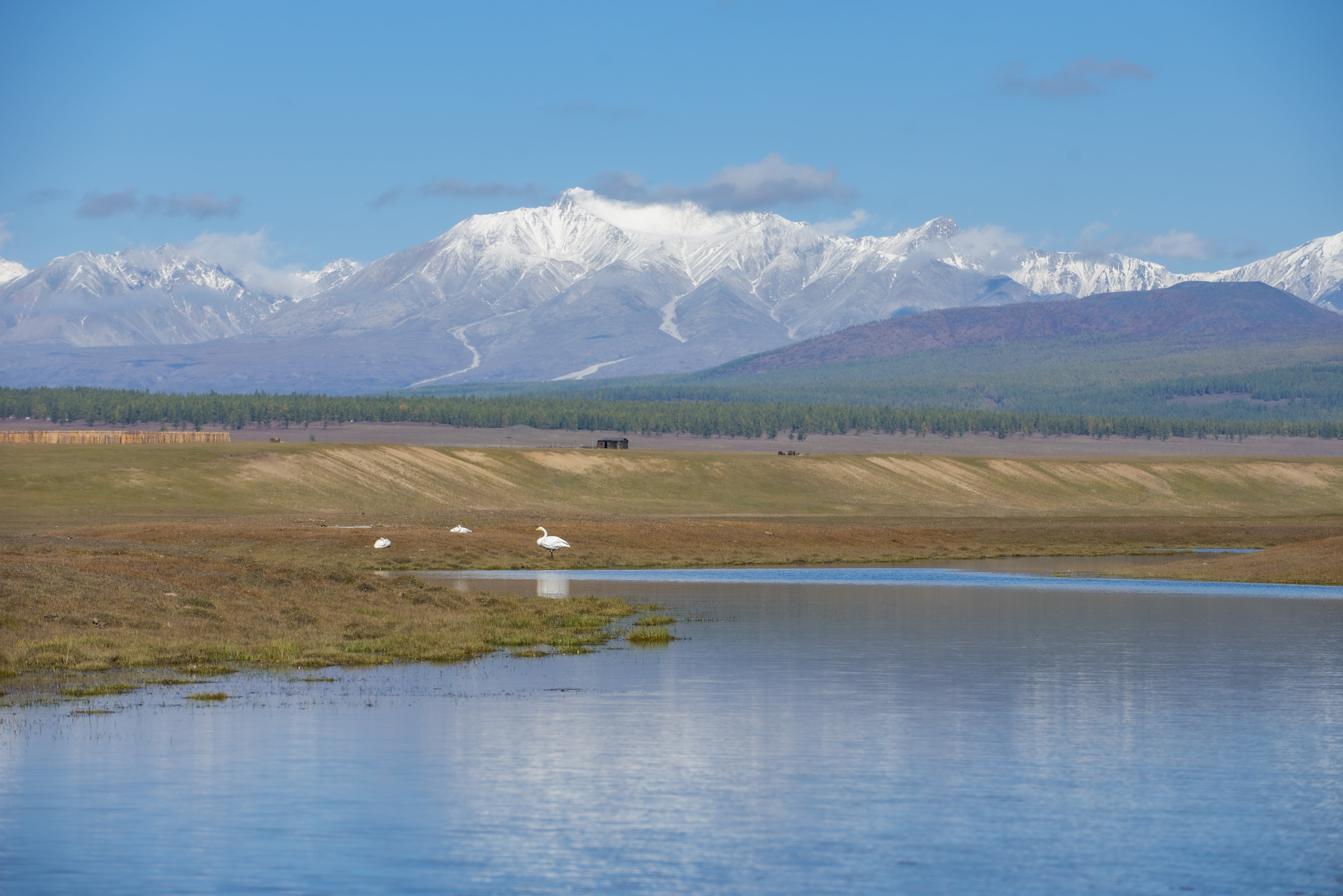 秘境フブスグル湖とムンフ・サルダグ山登頂 9日間