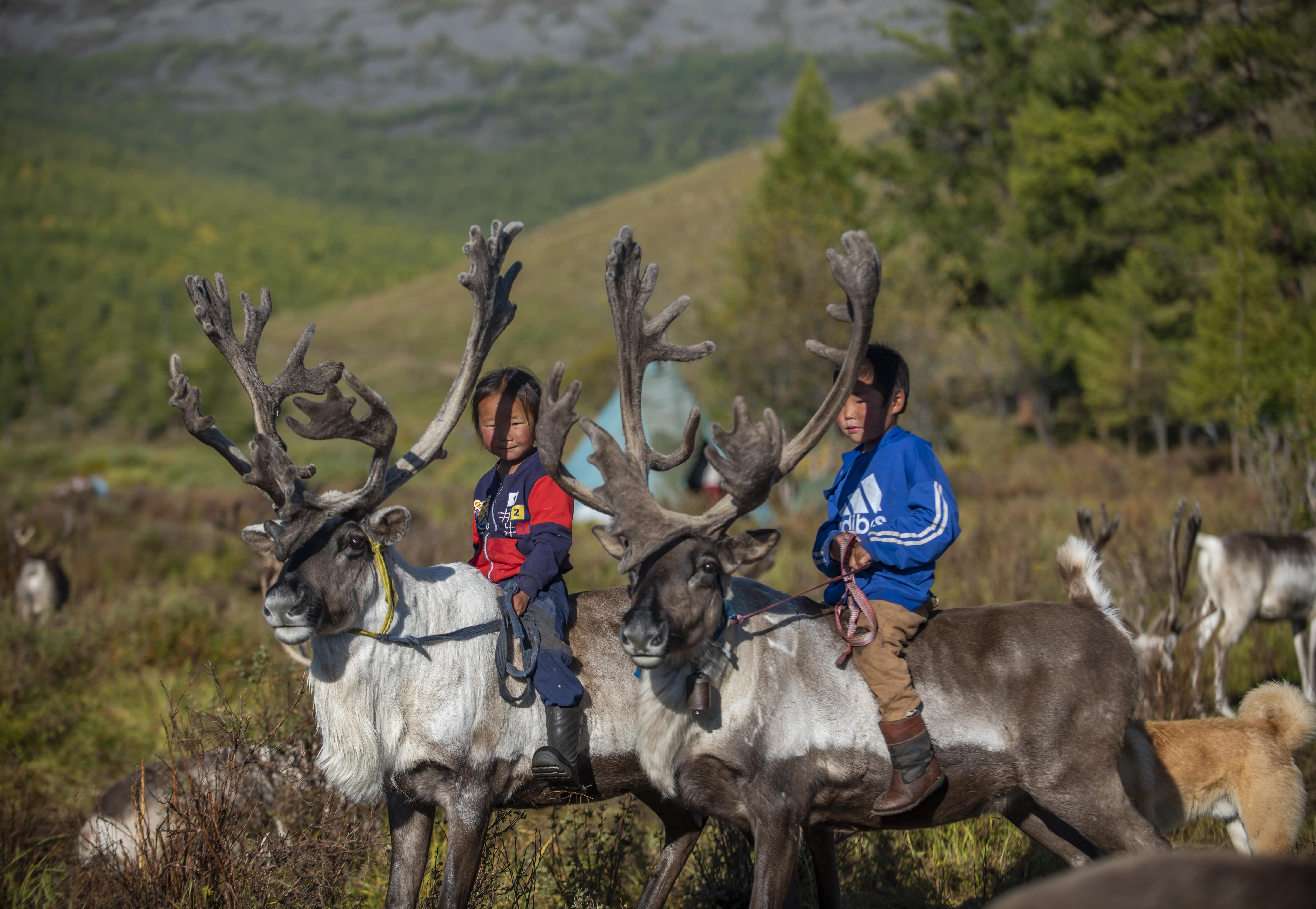 秘境フブスグル湖とムンフ・サルダグ山登頂 9日間