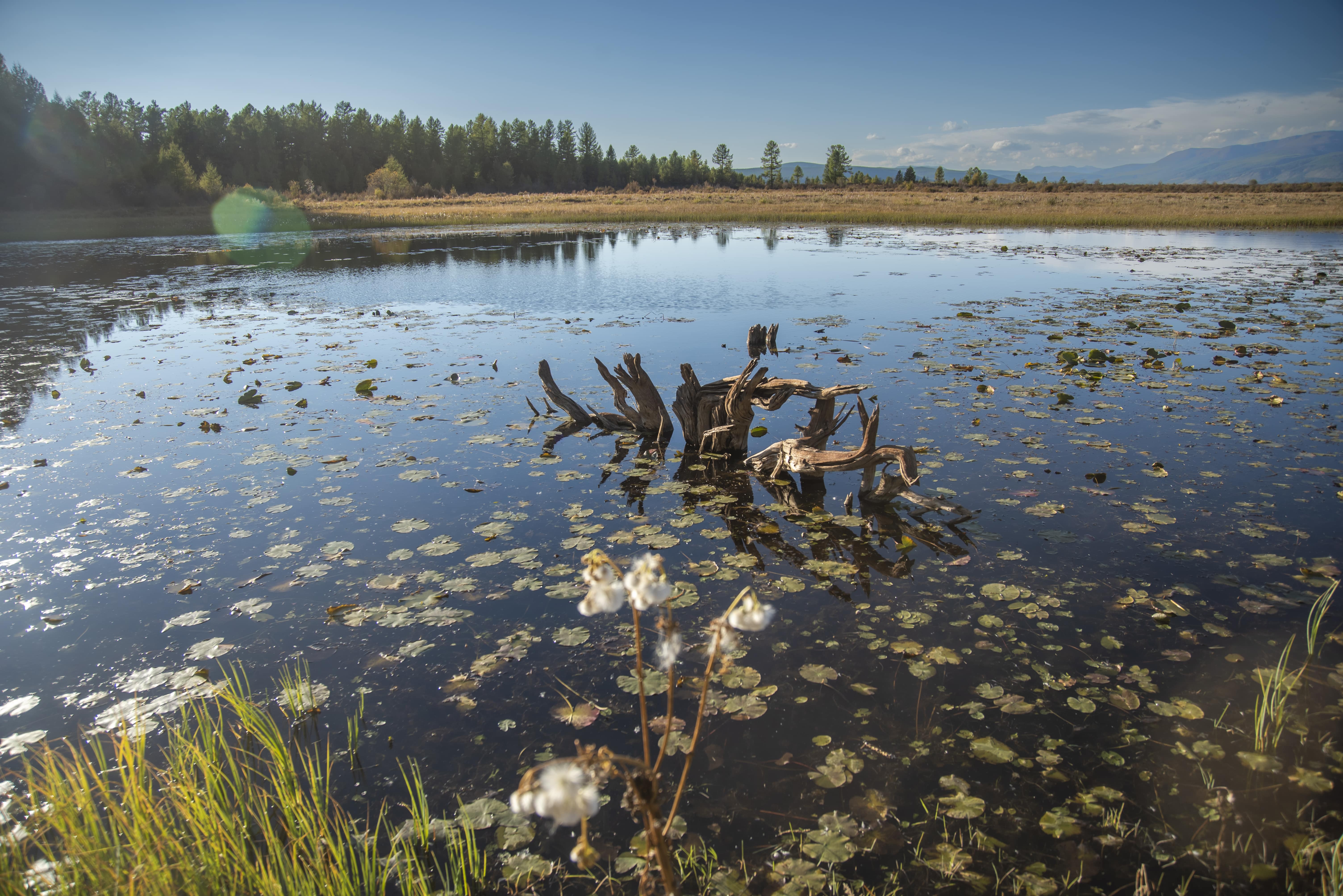 秘境フブスグル湖とムンフ・サルダグ山登頂 9日間