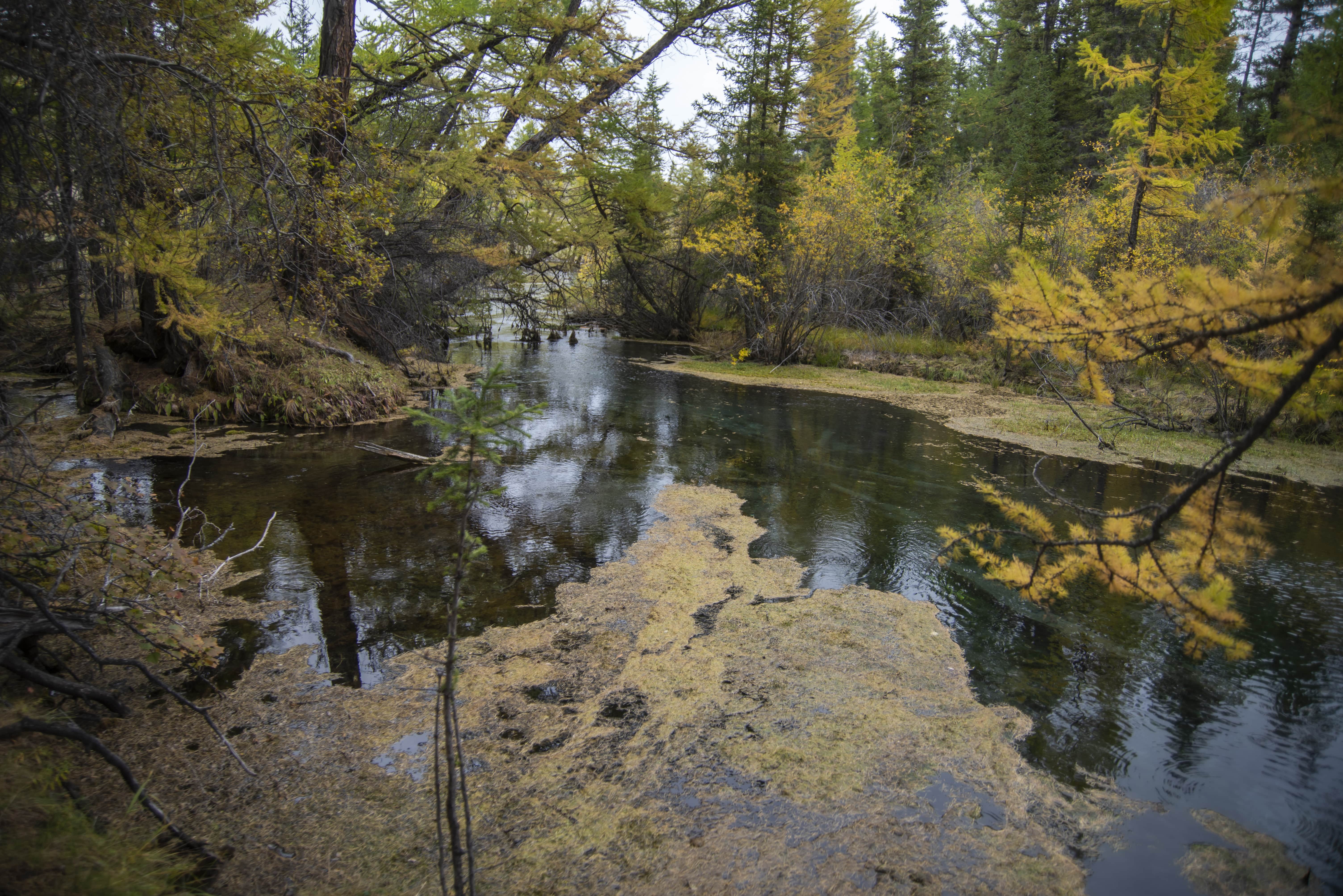 秘境フブスグル湖とムンフ・サルダグ山登頂 9日間