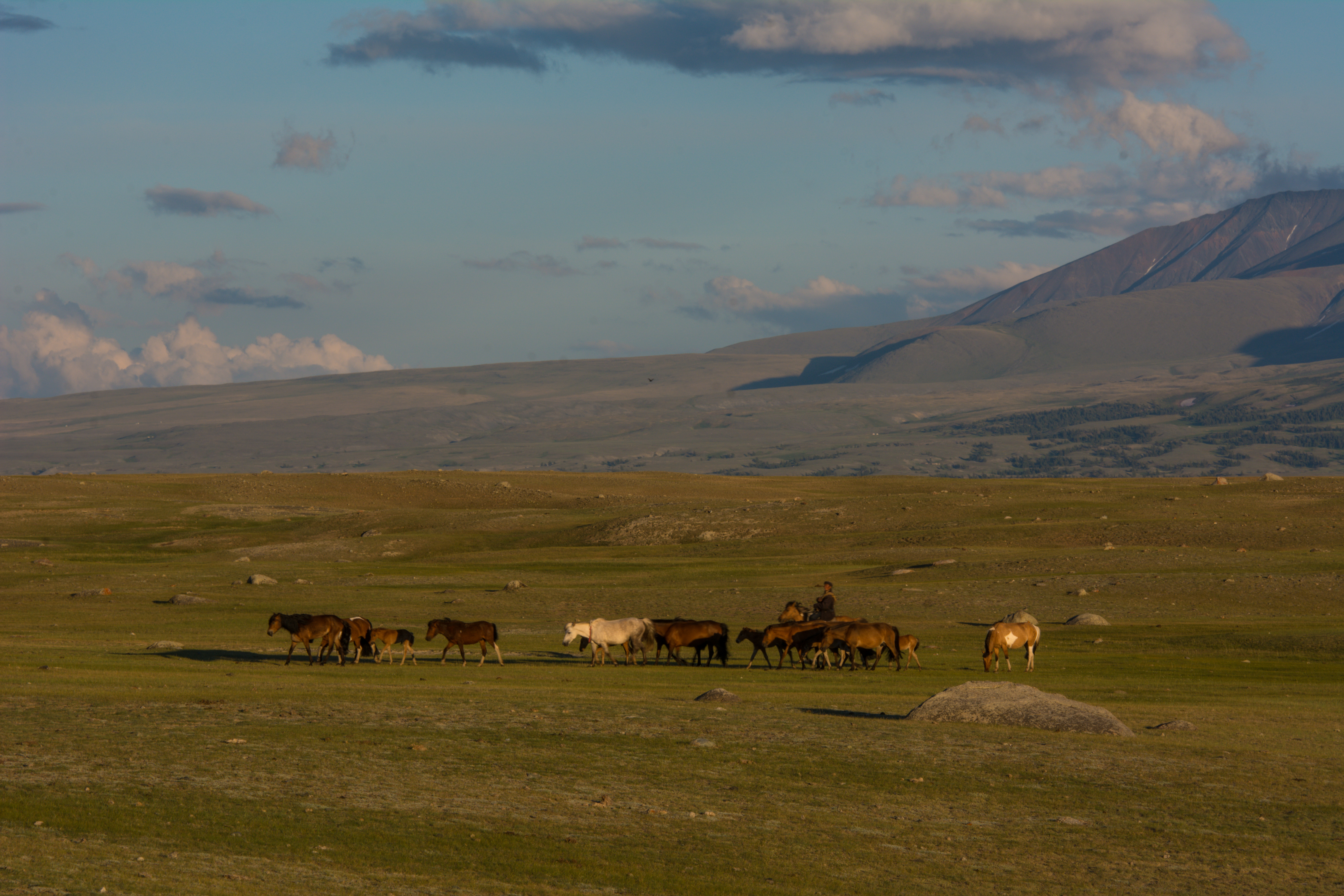 テレルジ国立公園 4日間