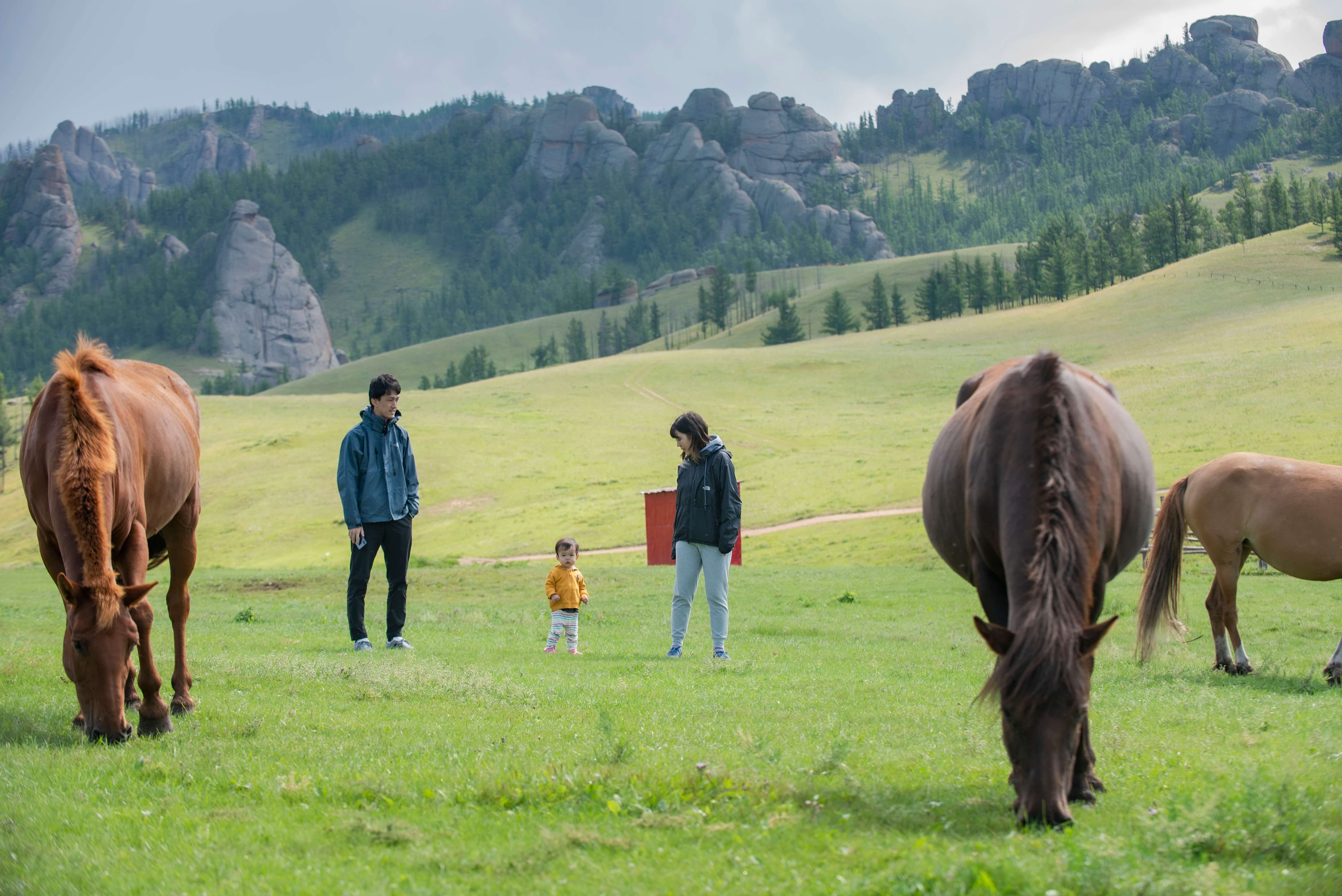 テレルジ国立公園 4日間