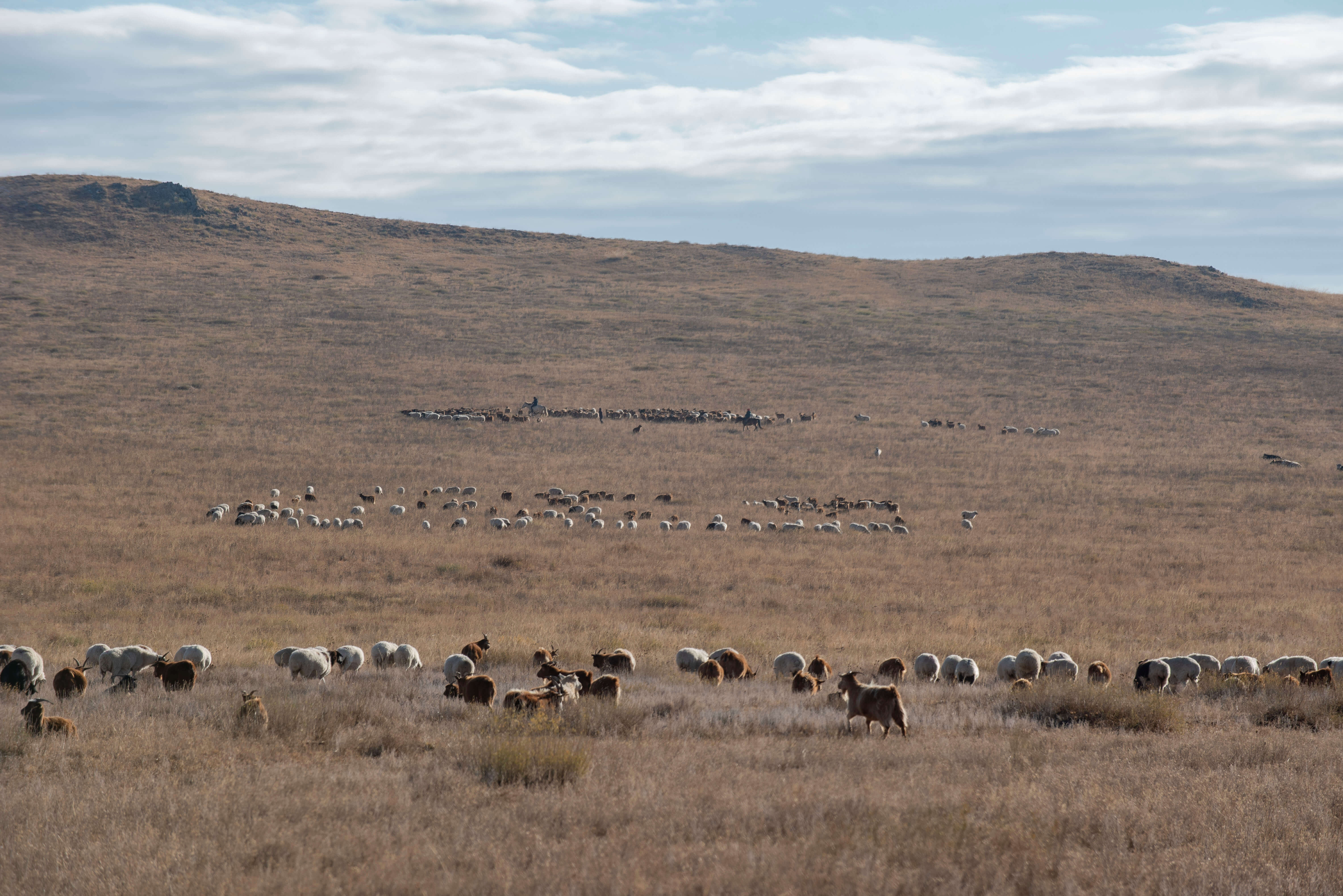 テレルジ国立公園 4日間