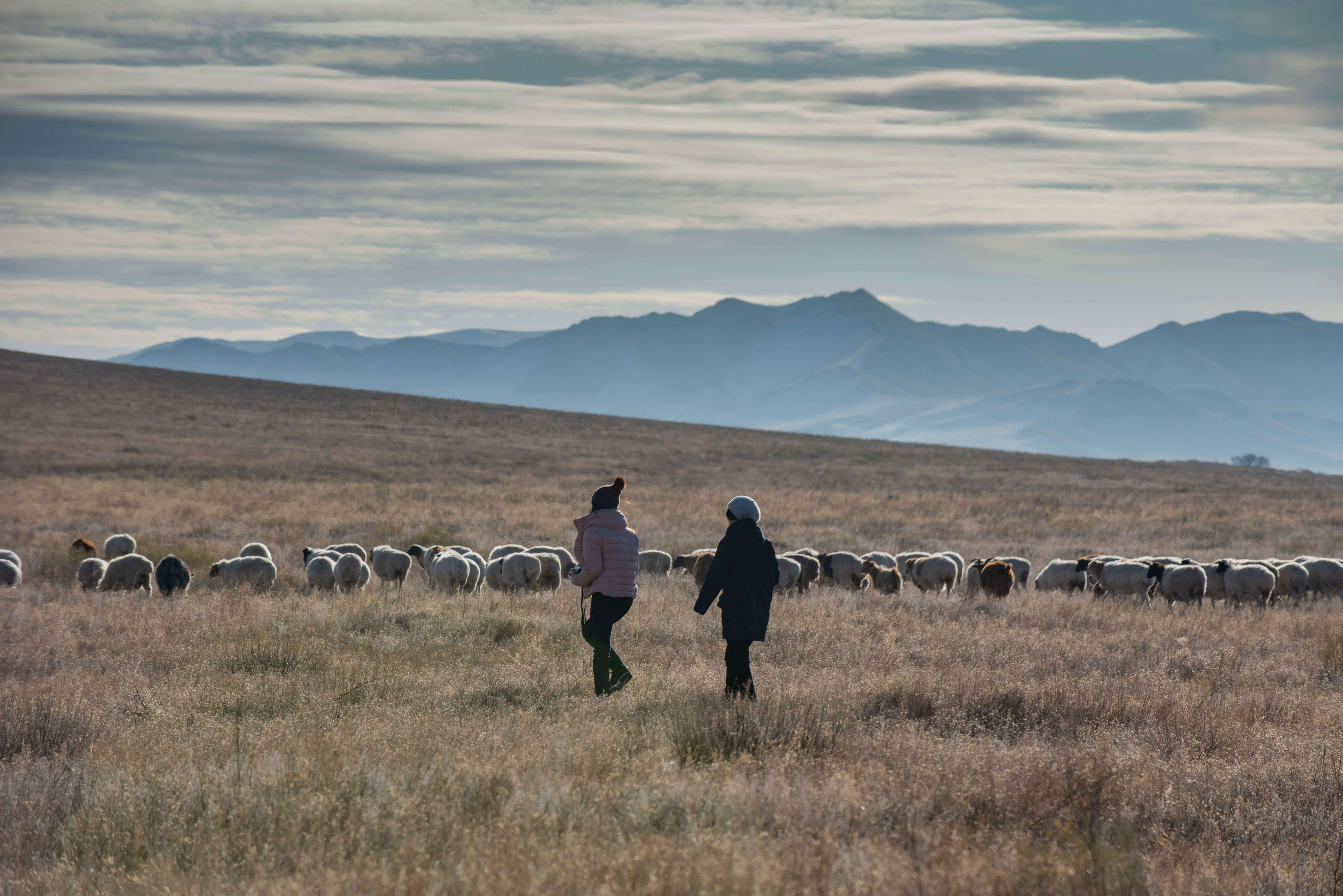 テレルジ国立公園 4日間
