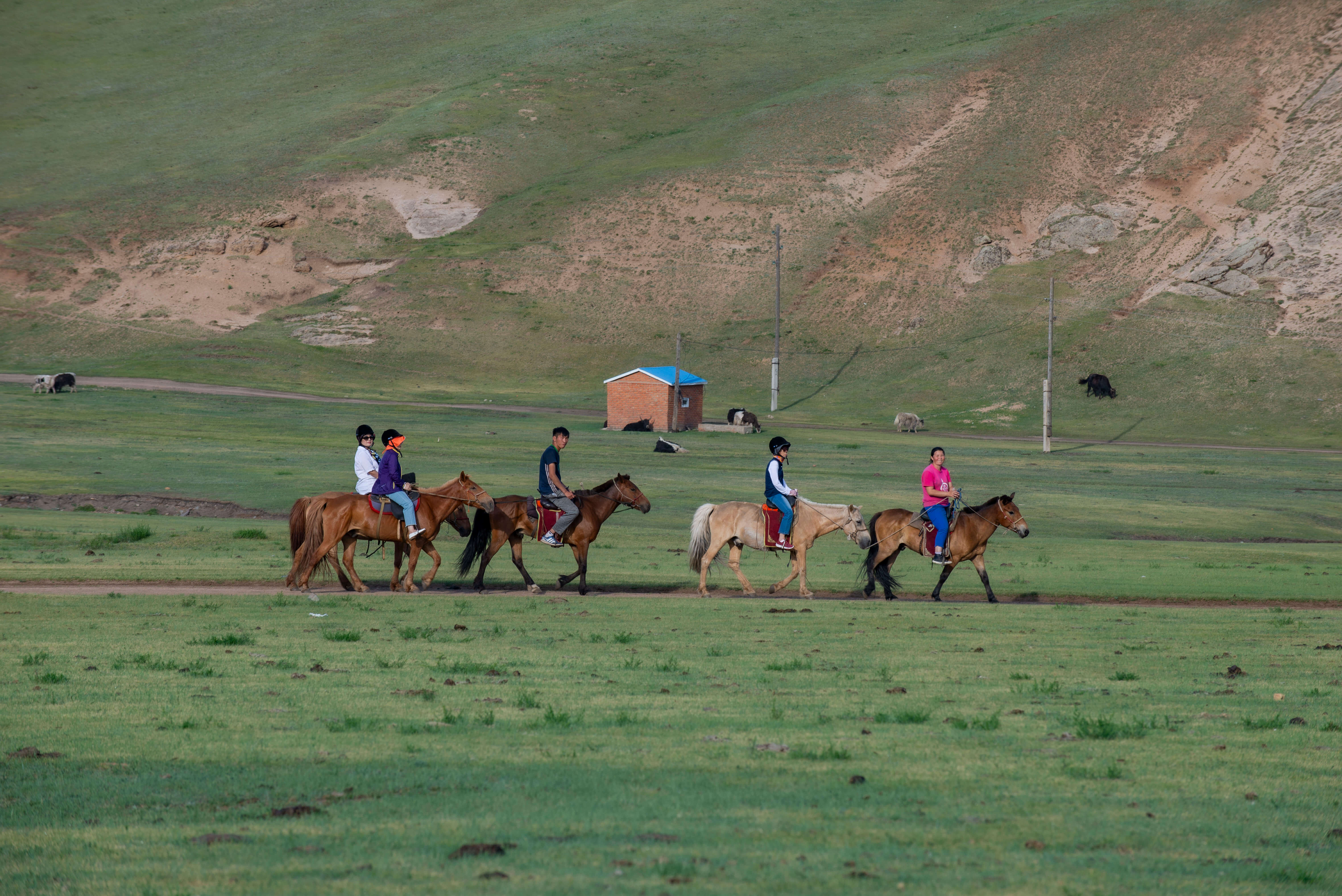 テレルジ国立公園 4日間
