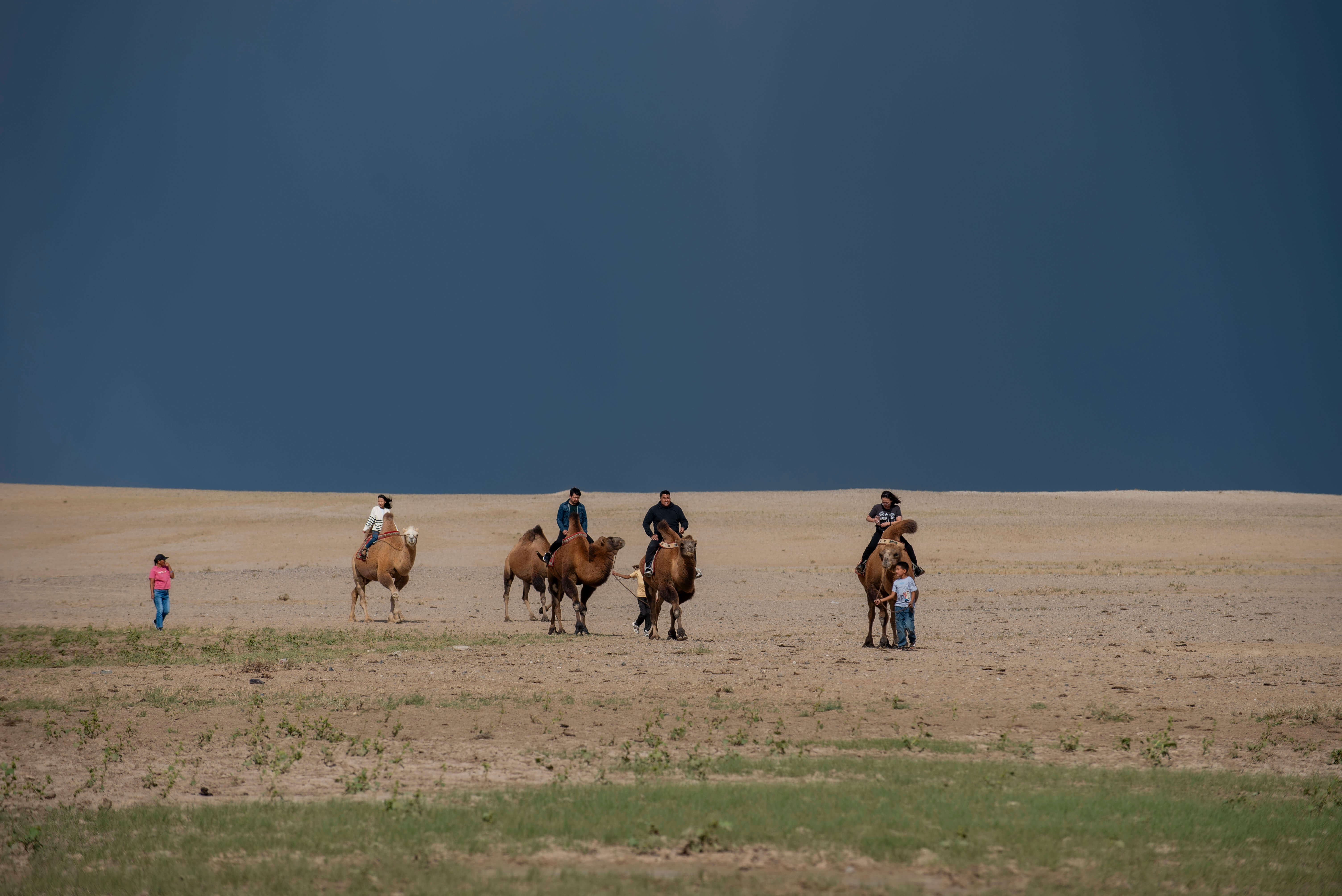 ゴビ砂漠・モンゴル大自然6日間ツアー