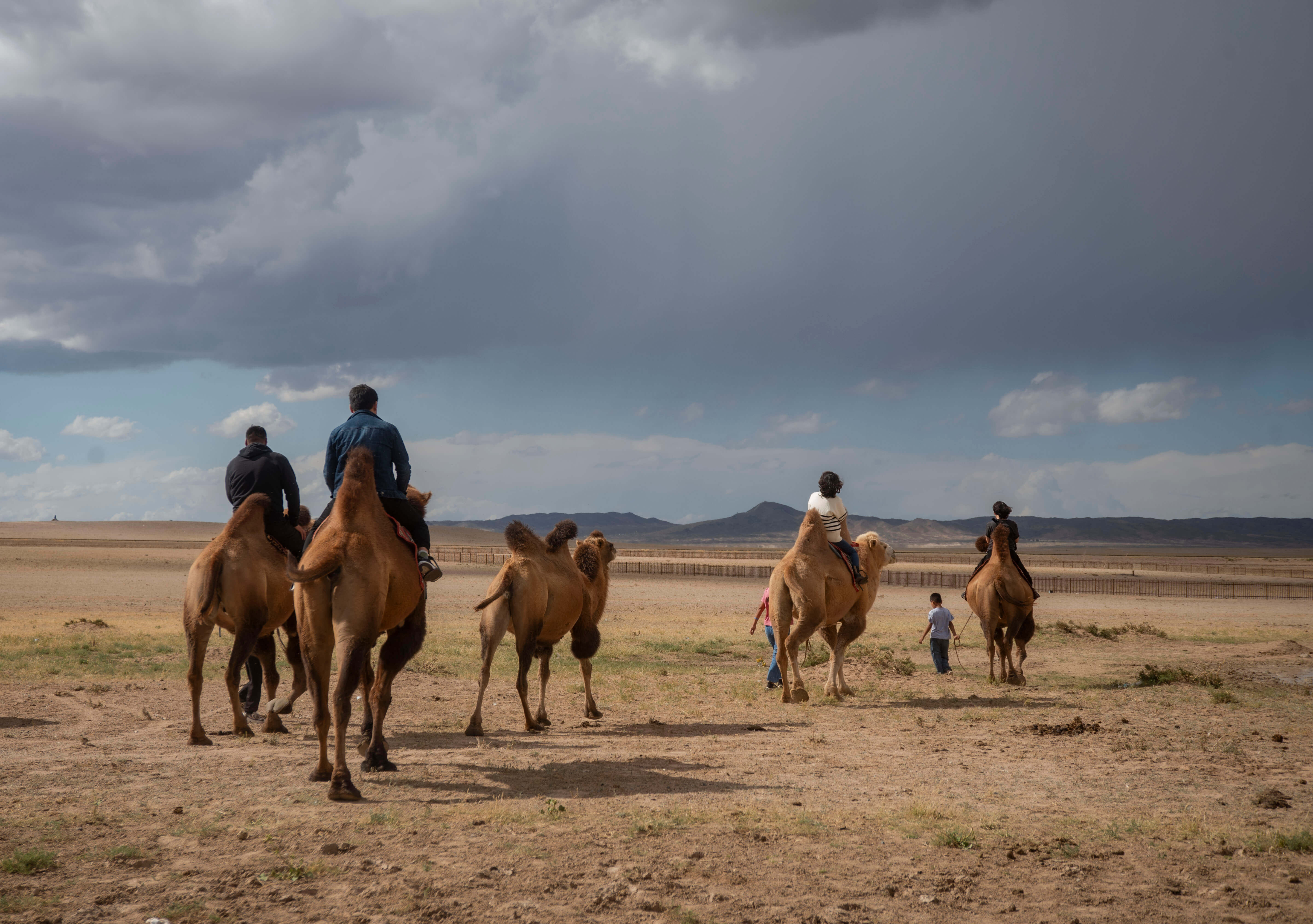 ゴビ砂漠・モンゴル大自然6日間ツアー