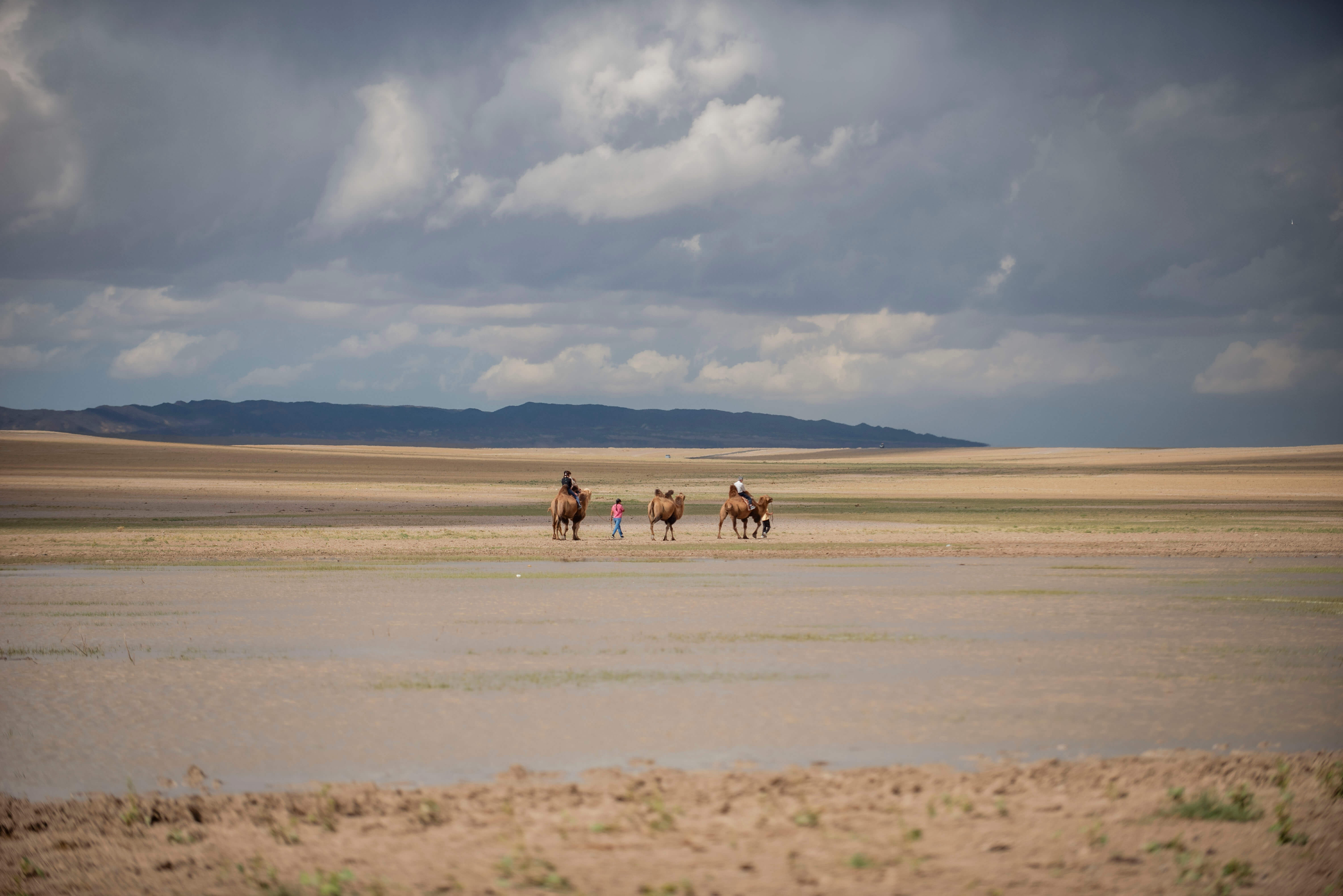 ゴビ砂漠・モンゴル大自然6日間ツアー