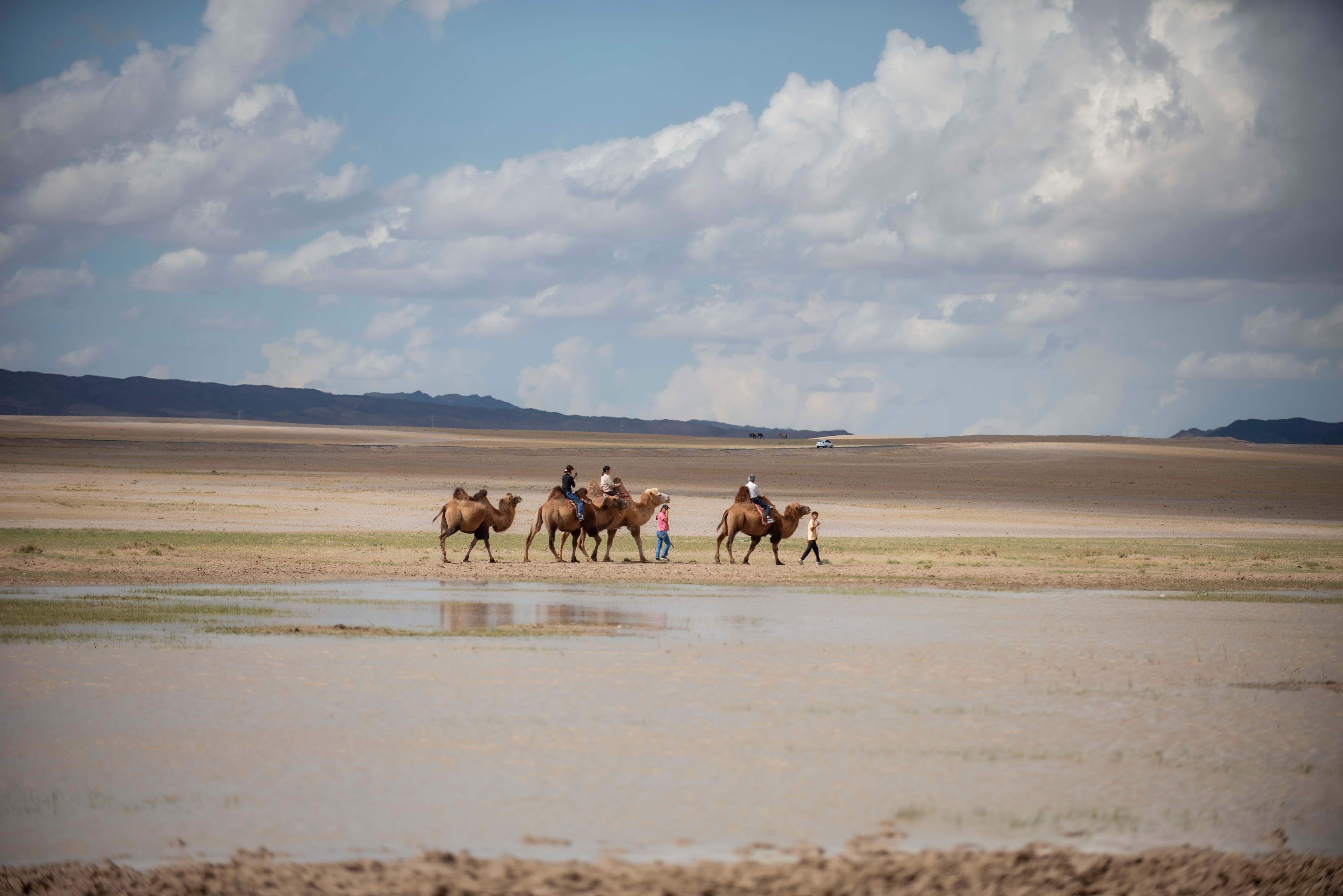 ゴビ砂漠・モンゴル大自然6日間ツアー