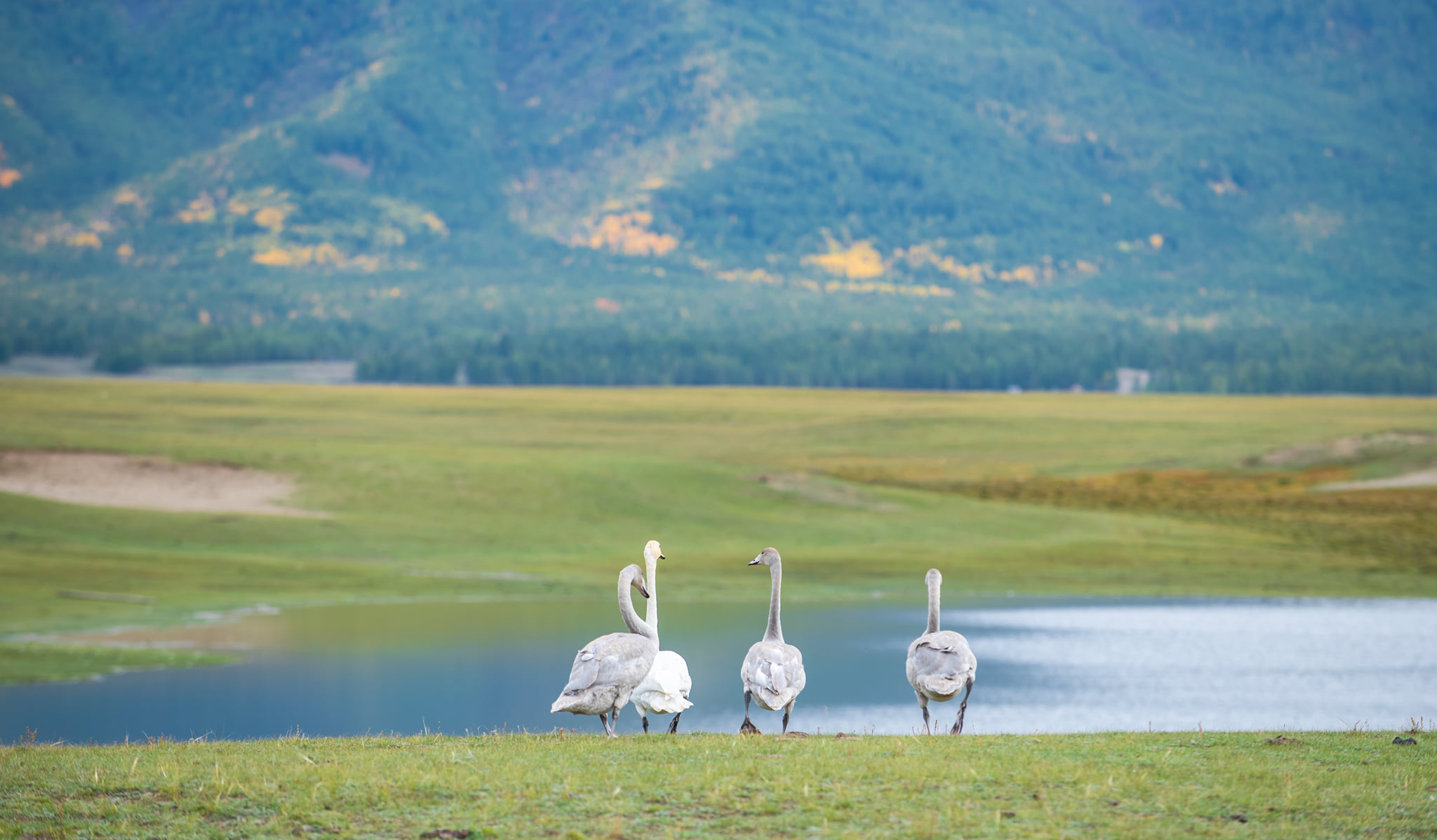 フブスグル湖ツアー 6日間
