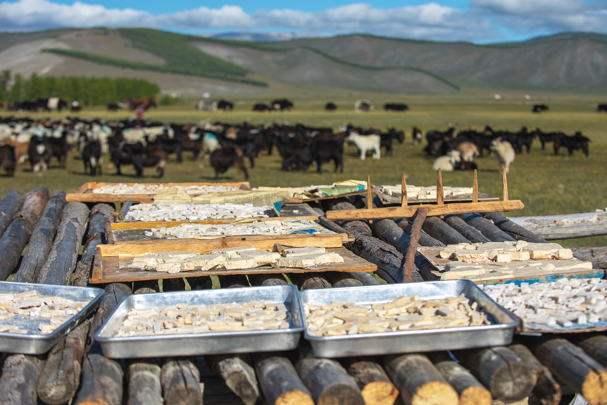 フブスグル湖ツアー 6日間