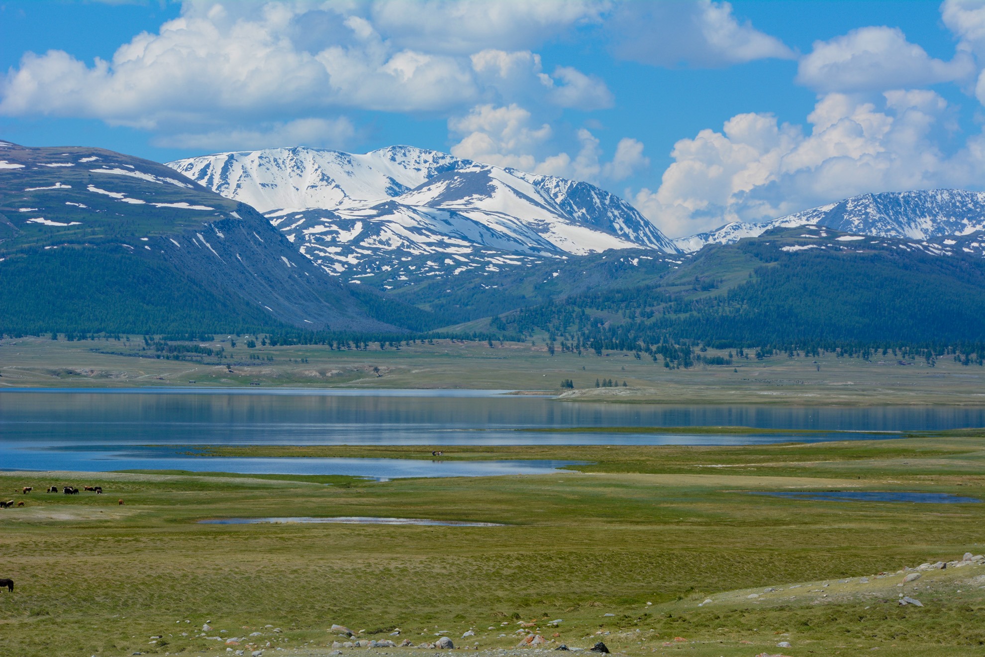 Khuiten Peak & Altai Tavan Bogd: 15-Day Expedition
