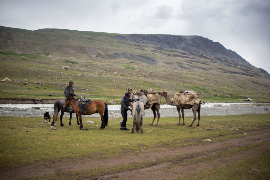 Mount Khüiten Premium Expedition: High-Altitude Comfort in the Altai