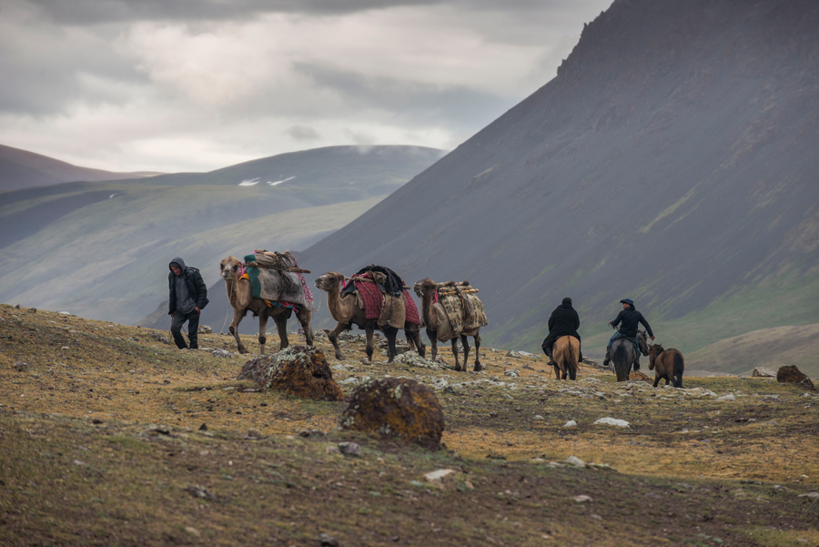 Mount Khüiten Premium Expedition: High-Altitude Comfort in the Altai