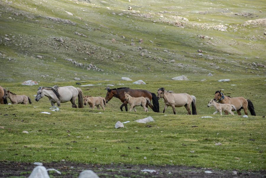Climbing Mount Khüiten: Altai Tavan Bogd National Park Trek