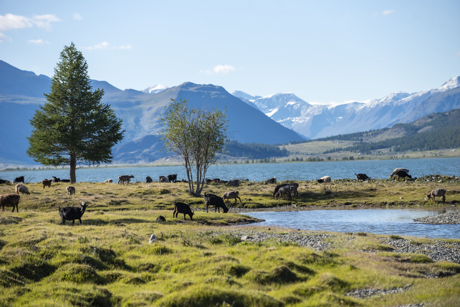 Climbing Mount Khüiten: Altai Tavan Bogd National Park Trek