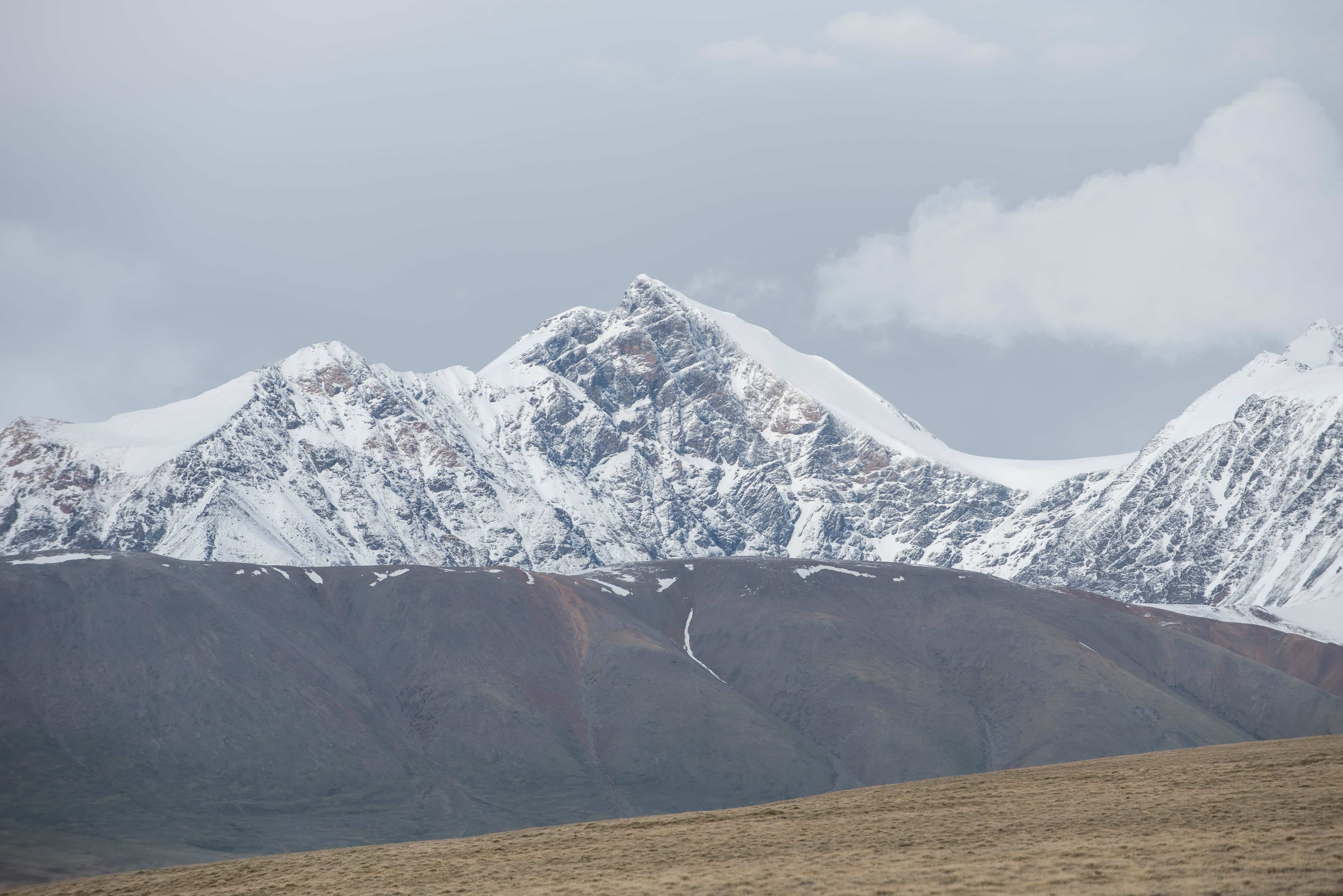 12-Day Expedition to Mt. Deglii Tsagaan or Mt. Must