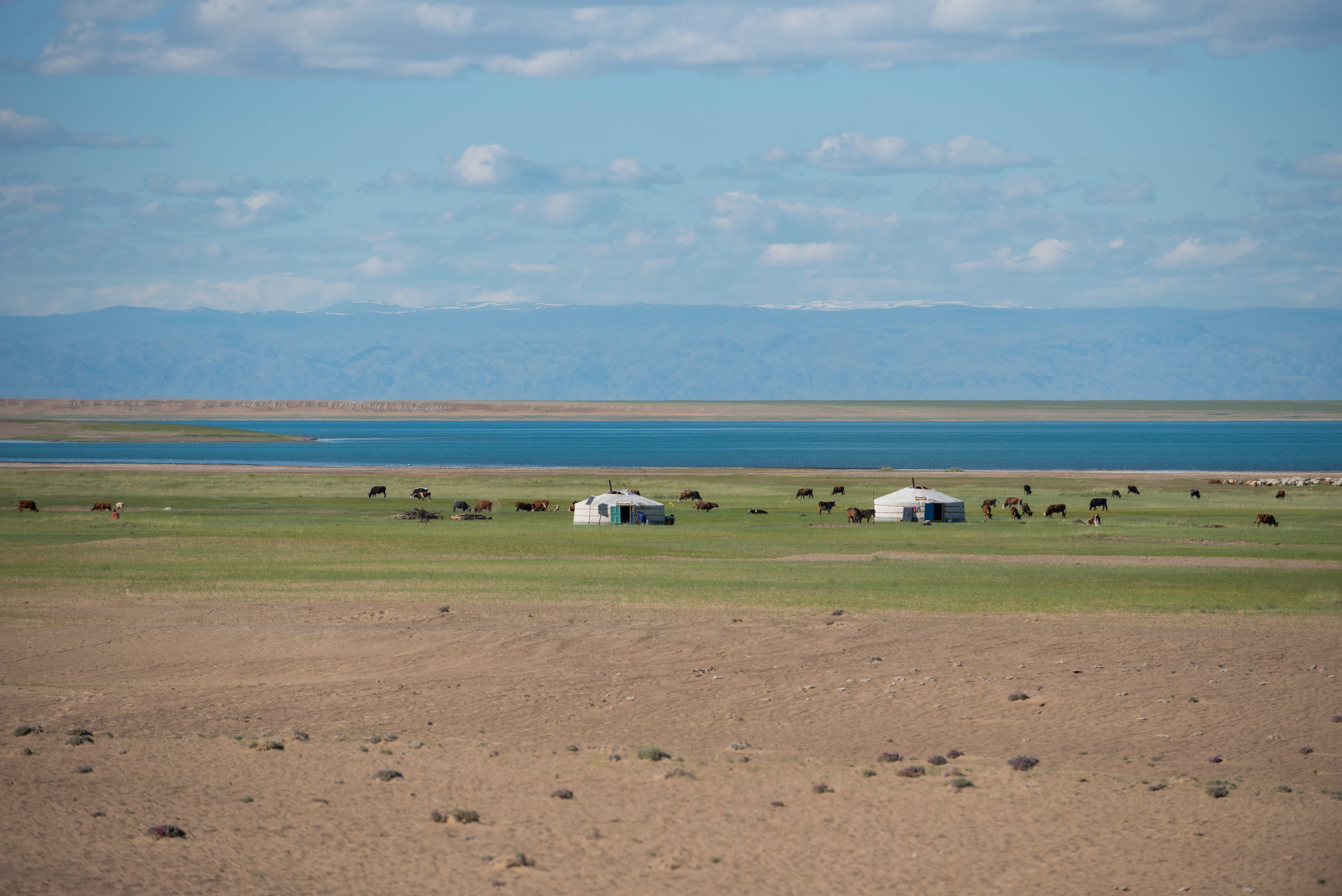 伝説の登山家・田部井淳子氏の足跡を辿り、未知なる名峰デグリー・ツァガーンまたはムスト山へ