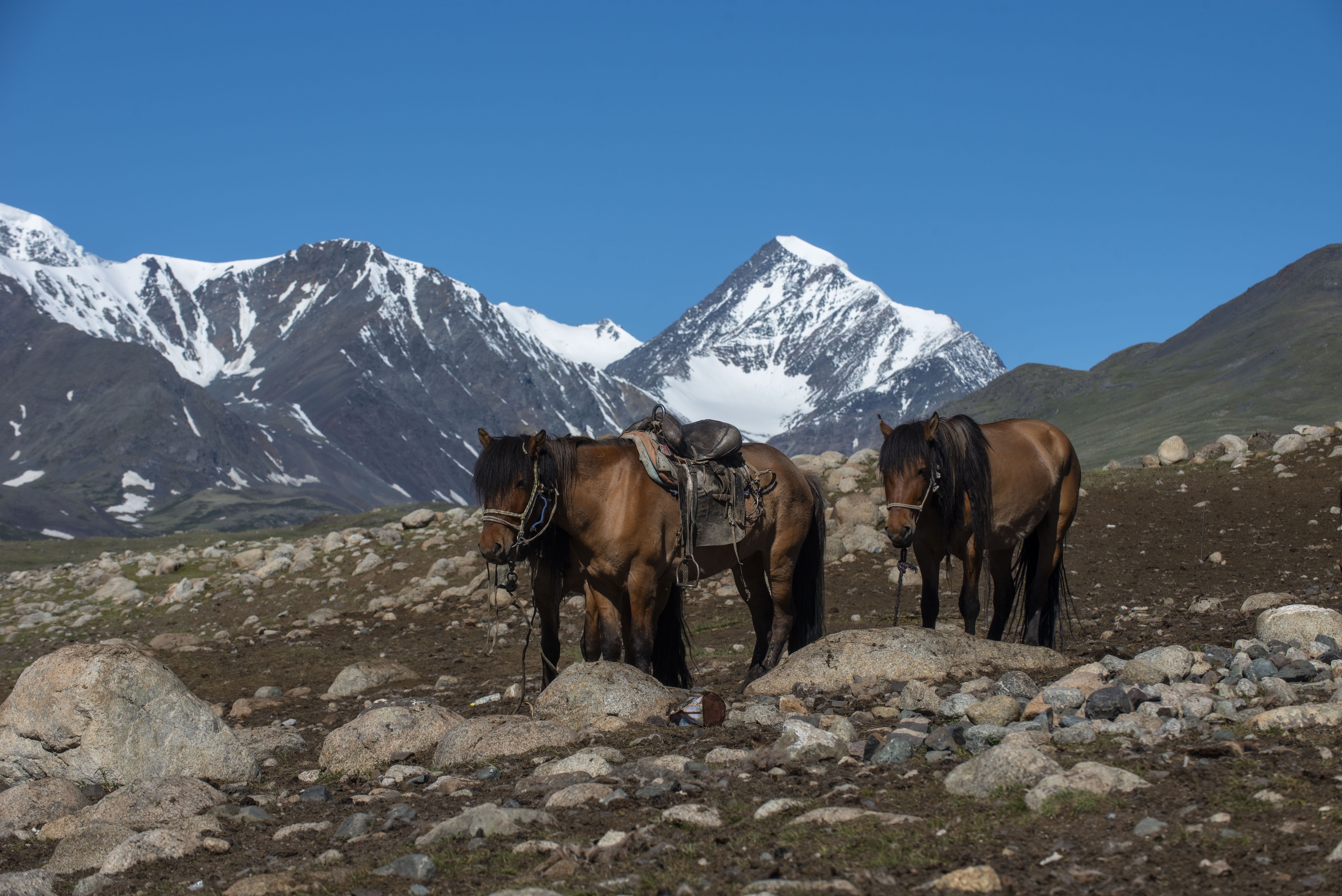 Altai Tavan Bogd: The Great Glacier & Malchin Summit Expedition