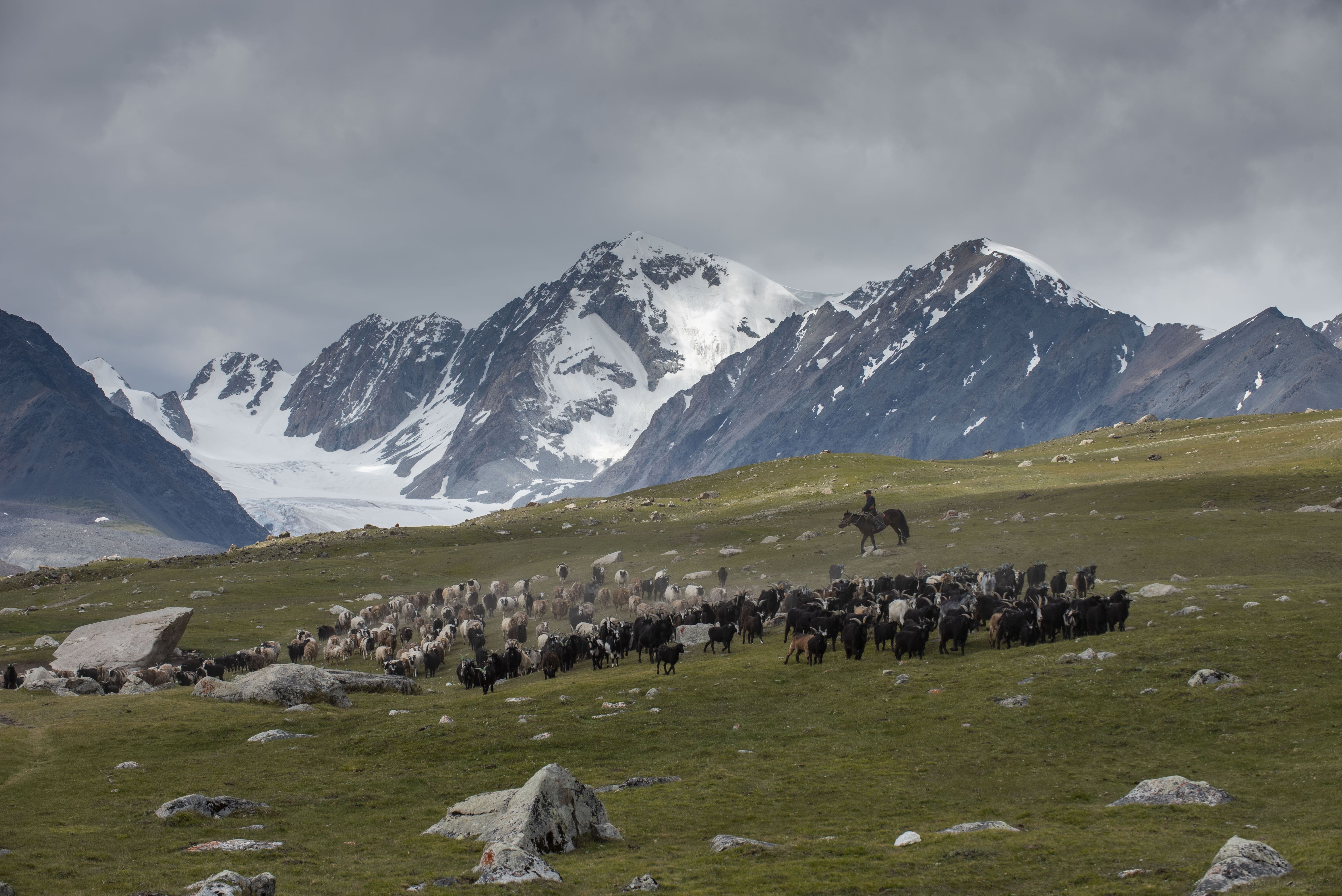 Altai Tavan Bogd: The Great Glacier & Malchin Summit Expedition