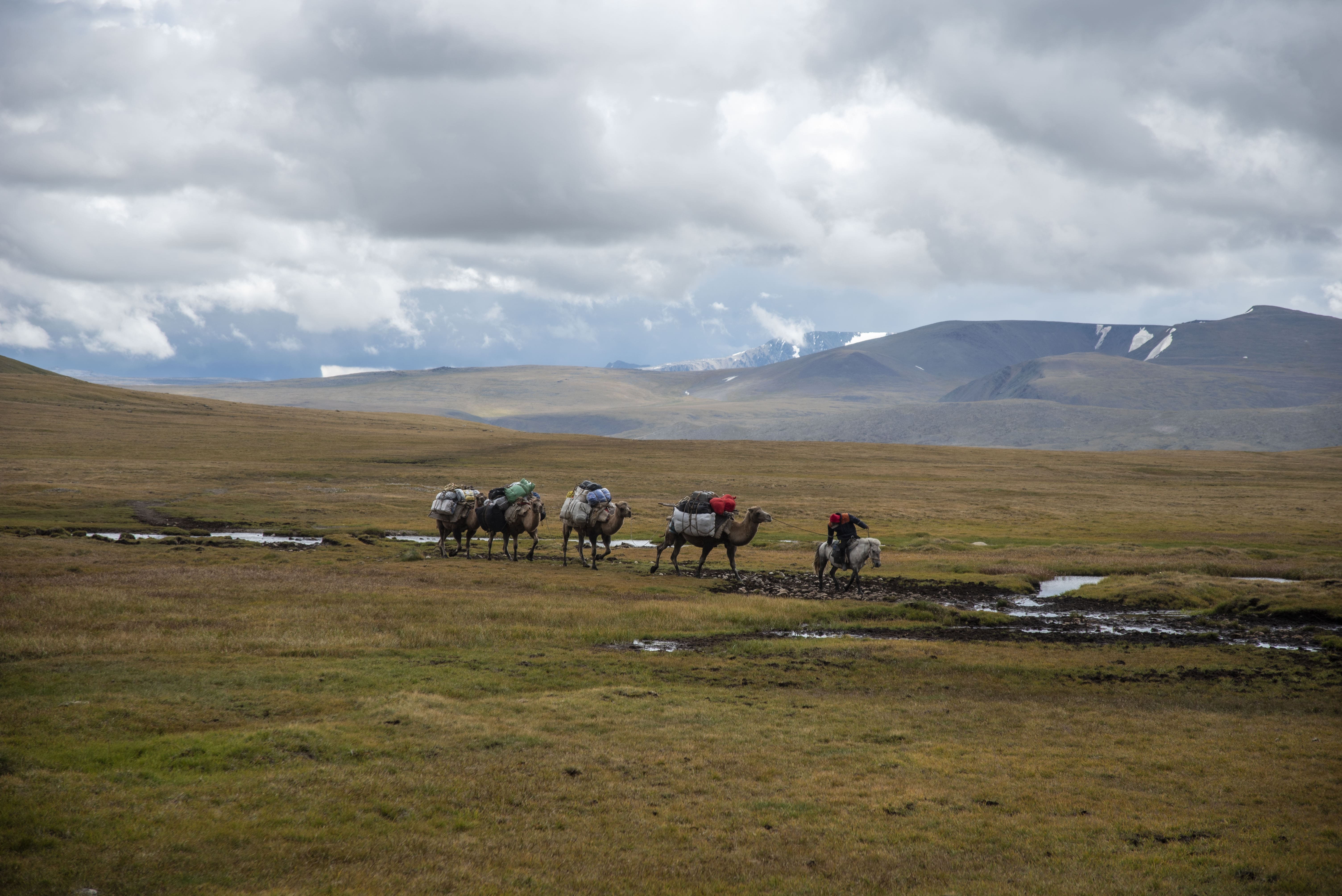 Altai Tavan Bogd: The Great Glacier & Malchin Summit Expedition