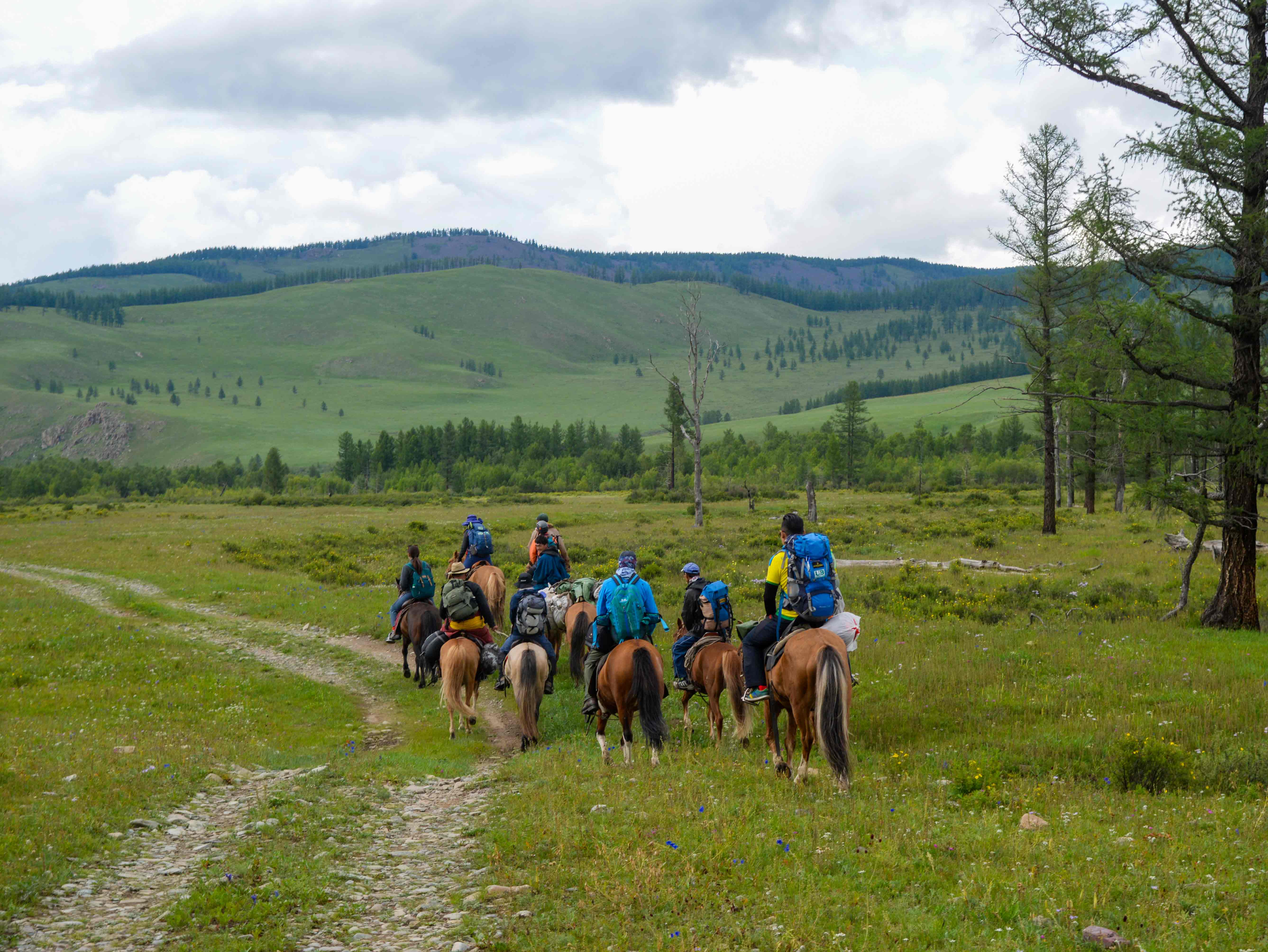 Mt. Asralt Khairkhan: The Taiga Summit & Horseback Expedition