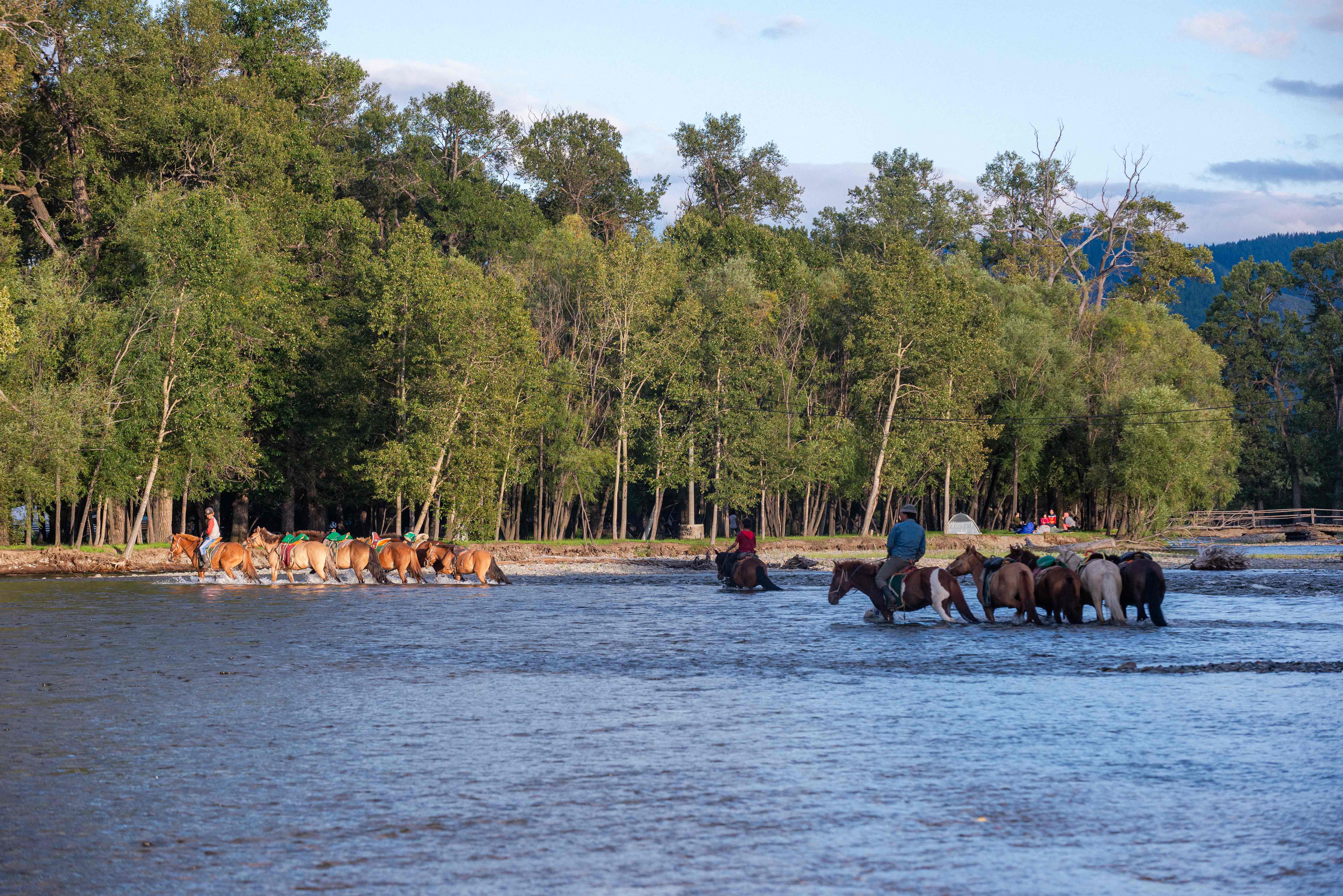Mt. Asralt Khairkhan: The Taiga Summit & Horseback Expedition