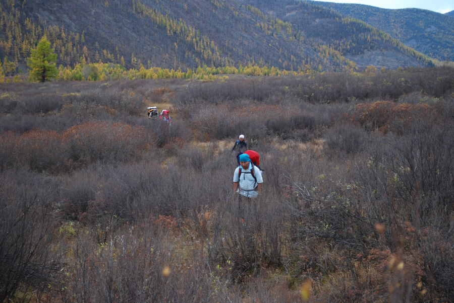 Mt. Asralt Khairkhan: The Taiga Summit & Horseback Expedition
