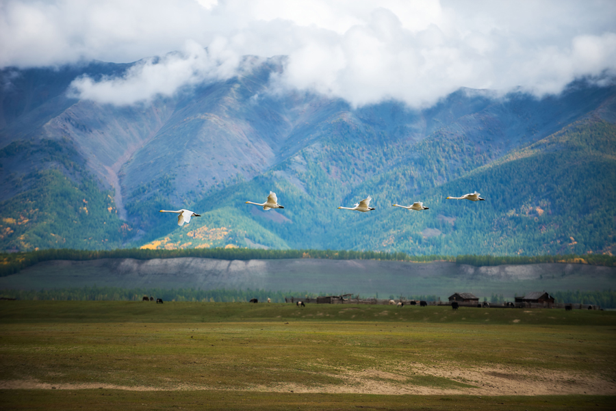 The Blue Pearl: Wild Comfort Retreat