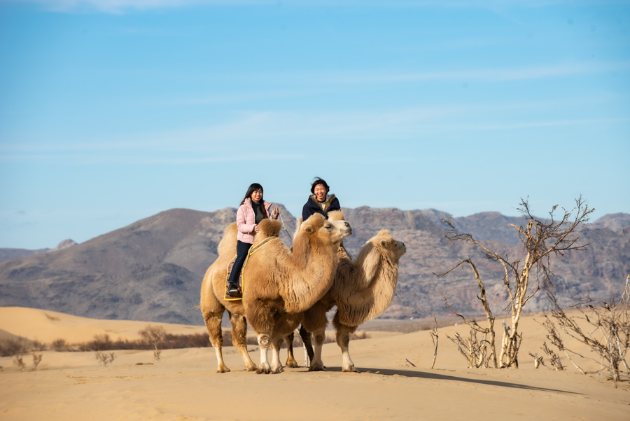 The Mongolian Essence: 5-Day Escape