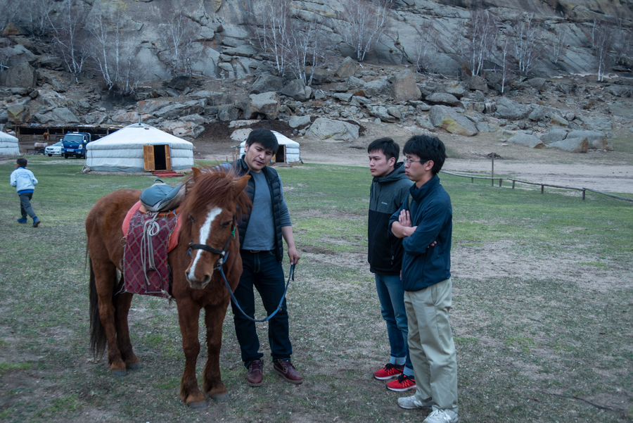 The Mongolian Essence: 5-Day Escape