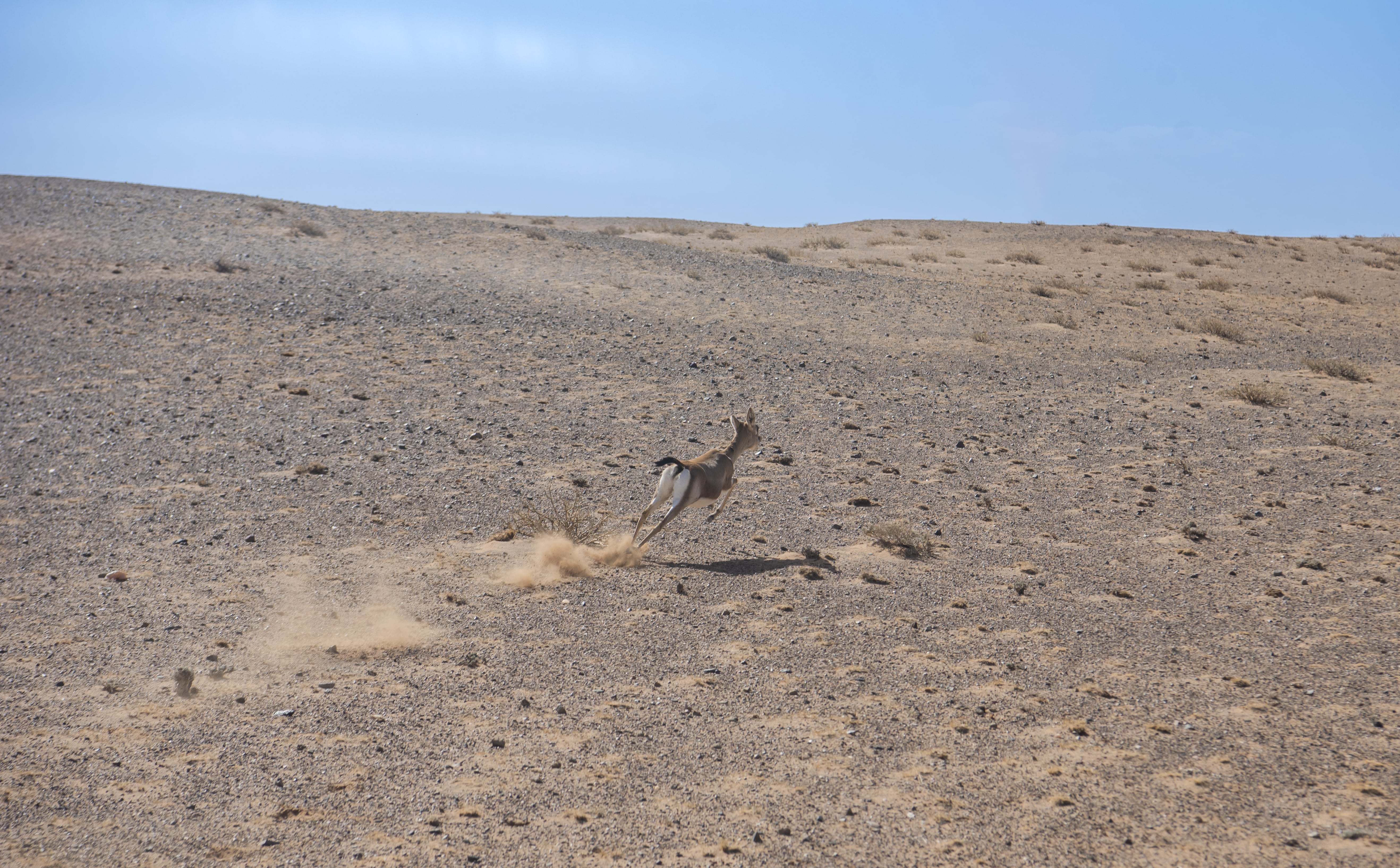 5-Day Gobi Desert Adventure in Mongolia