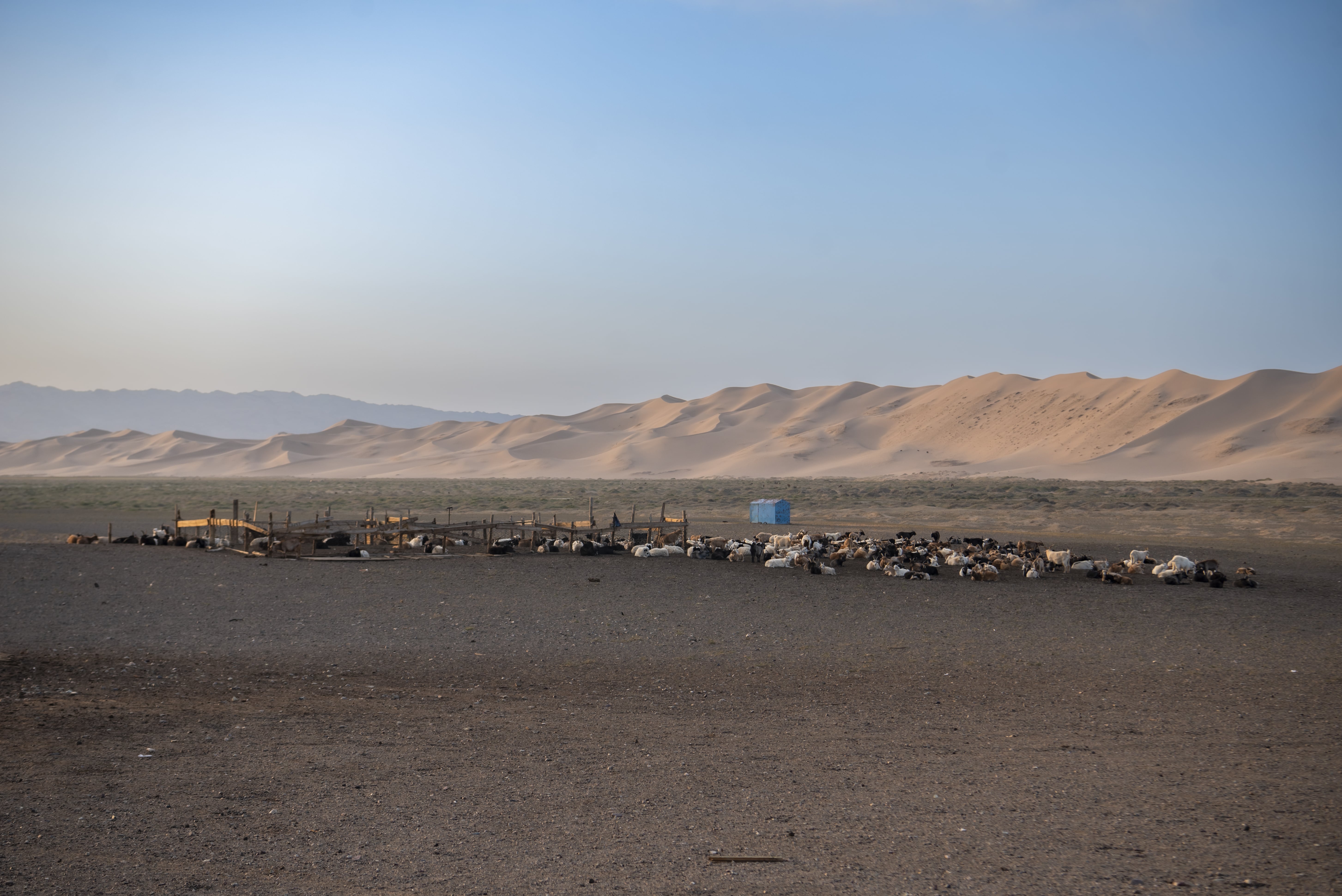 5-Day Gobi Desert Adventure in Mongolia