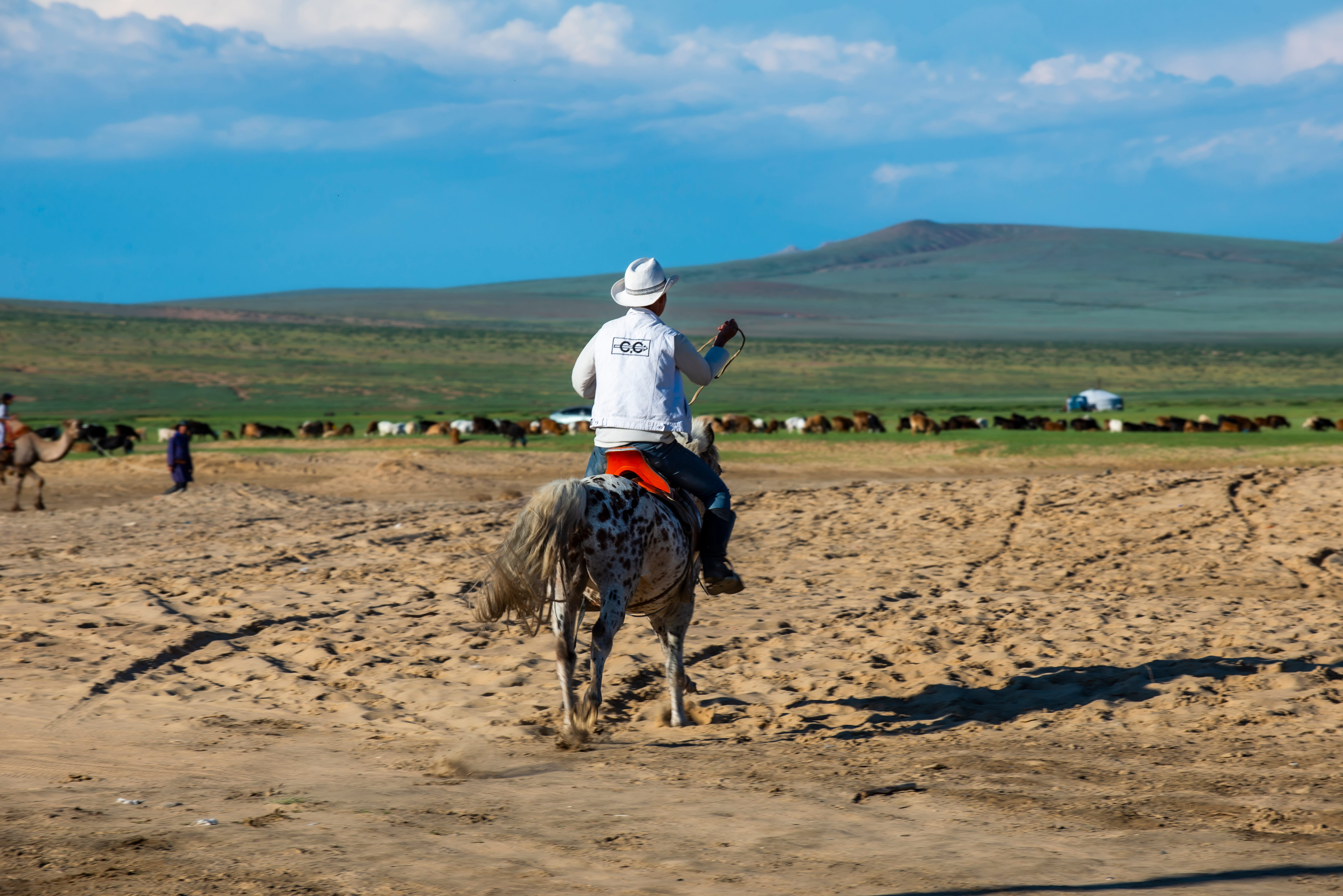 Mongolia Nomadic Experience & Karakorum Tour (4 Days)