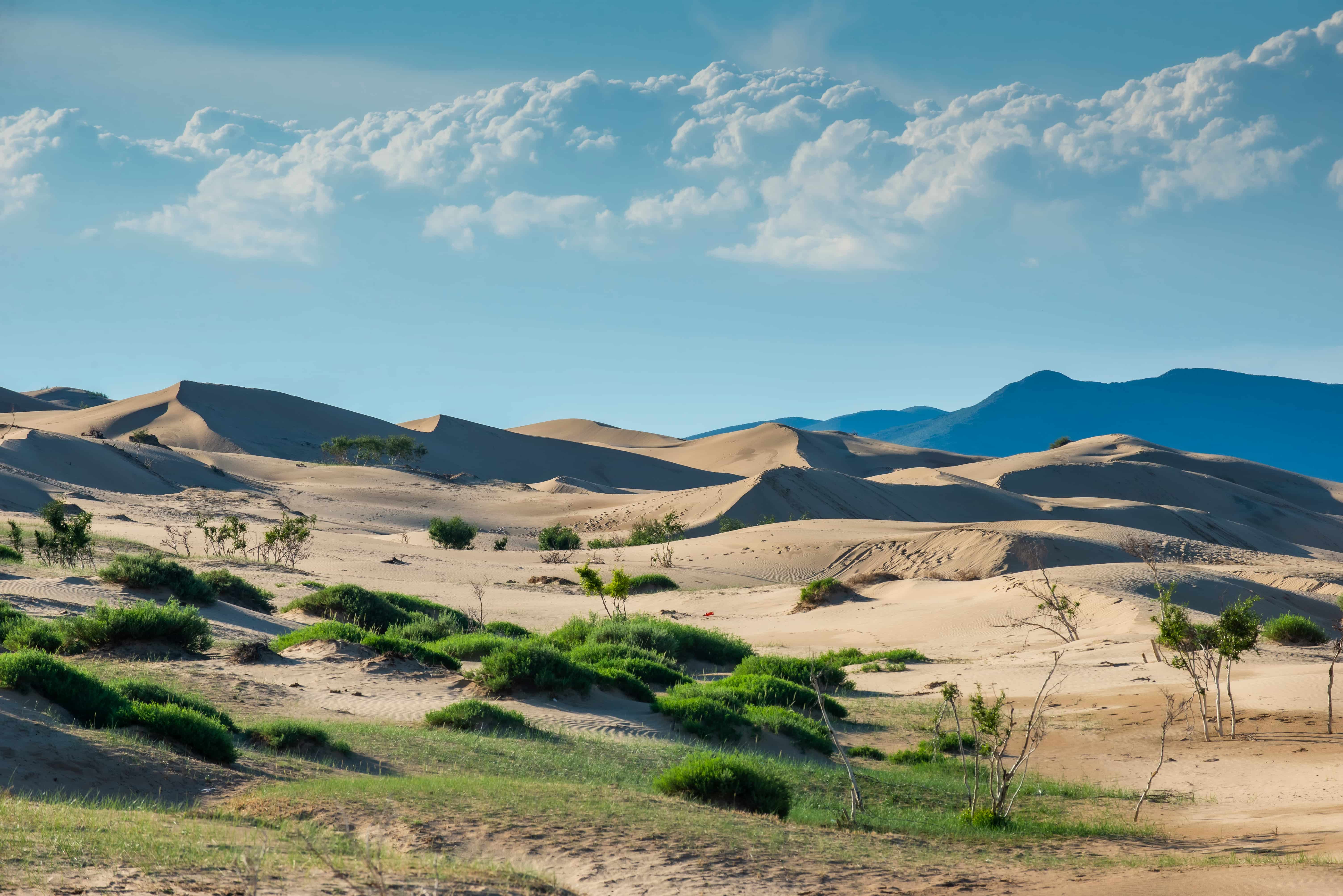 Mongolia Nomadic Experience & Karakorum Tour (4 Days)