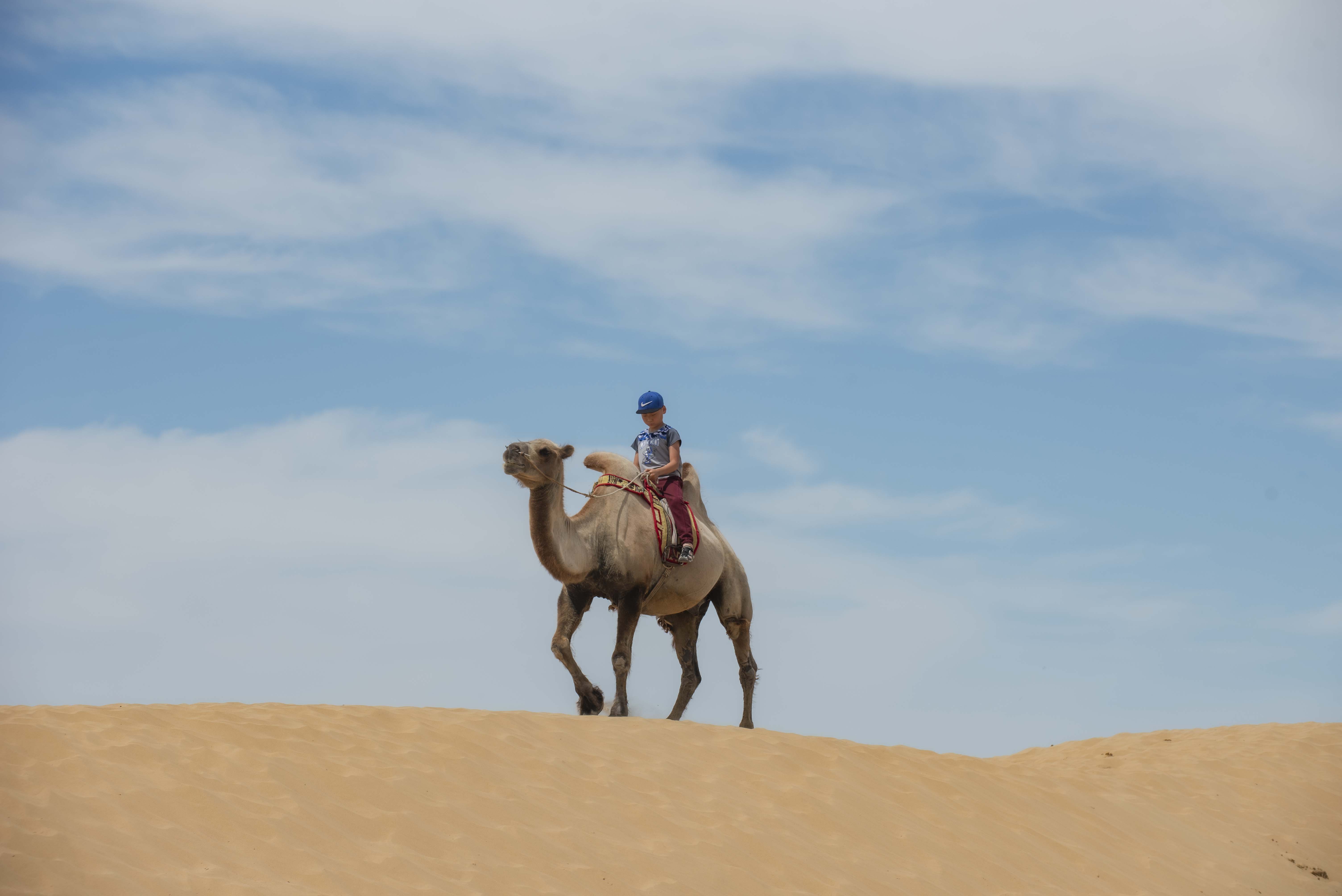 Mongolia Nomadic Experience & Karakorum Tour (4 Days)