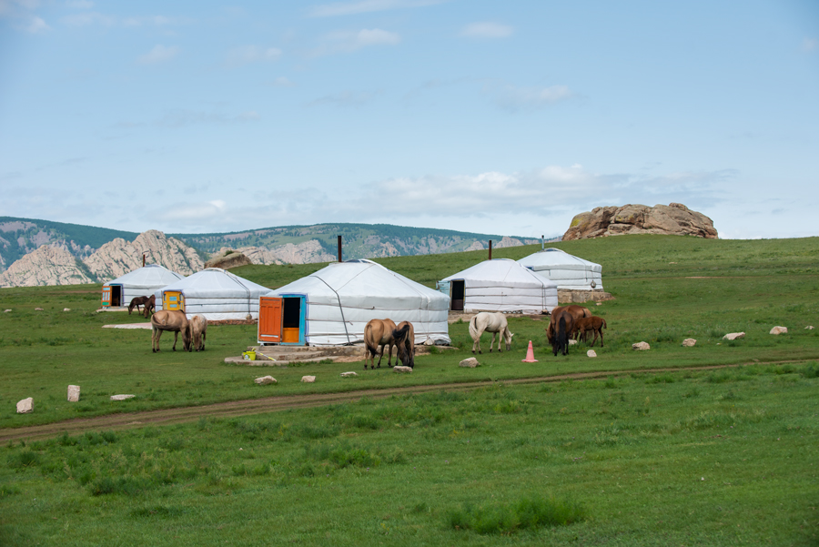 Mongolia Nomadic Experience & Karakorum Tour (4 Days)