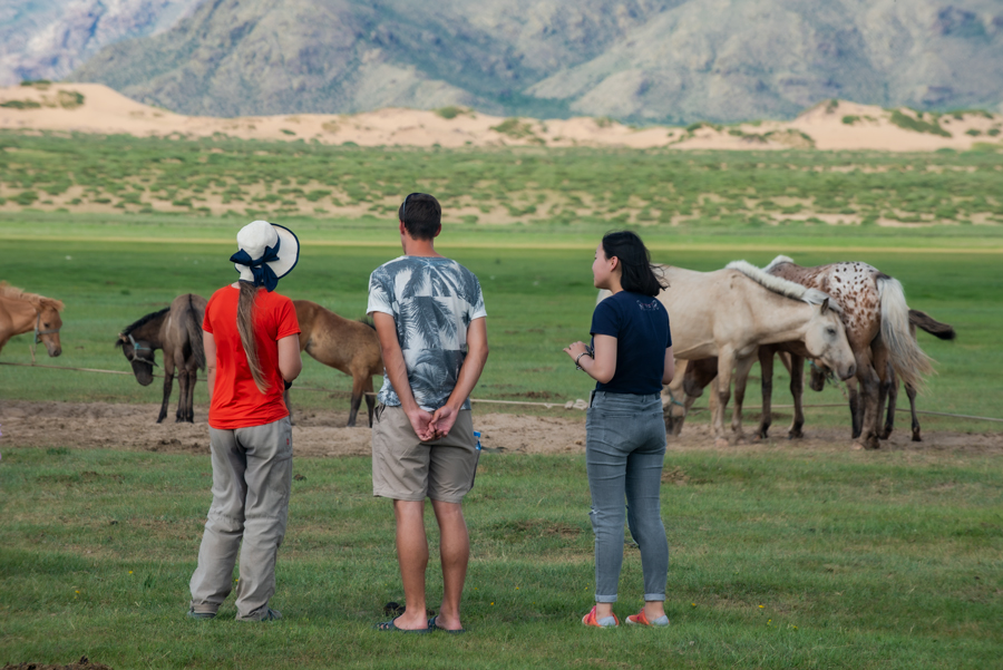Mongolia Nomadic Experience & Karakorum Tour (4 Days)