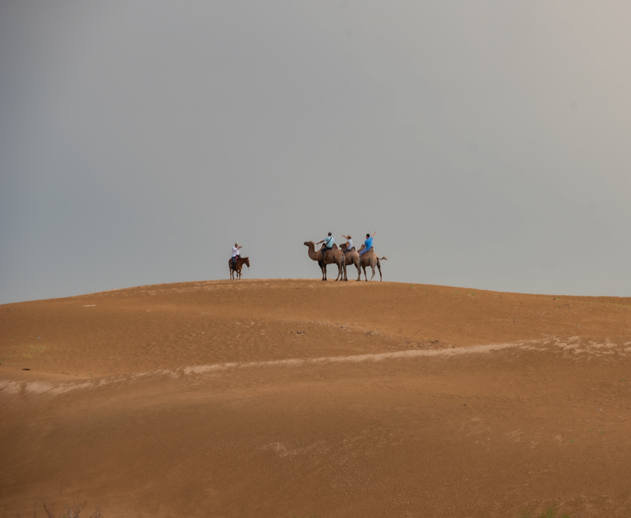 Mongolia Nomadic Experience & Karakorum Tour (4 Days)