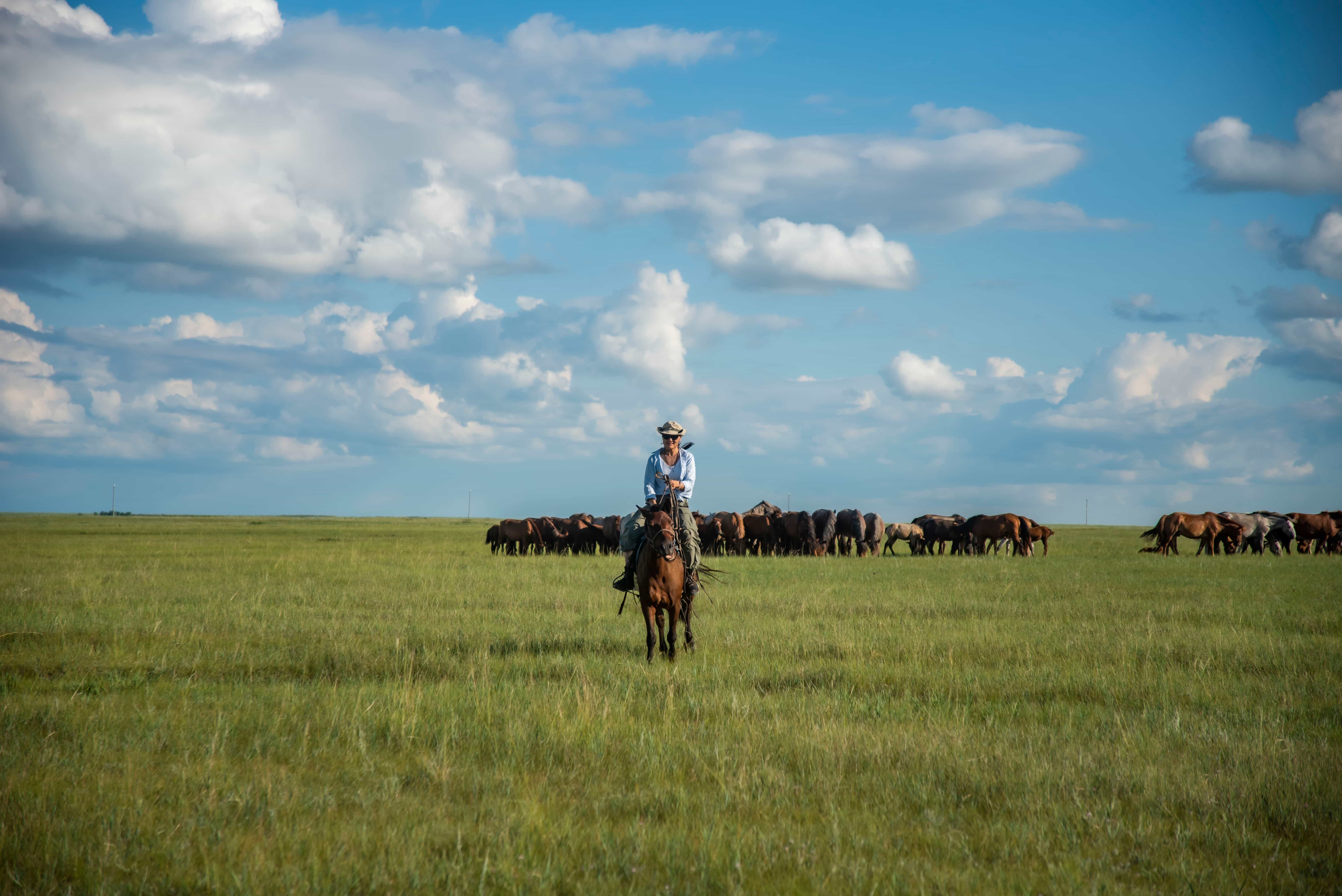 8-Day Mongolia Stargazing & Steppe Expedition (7 Nights)