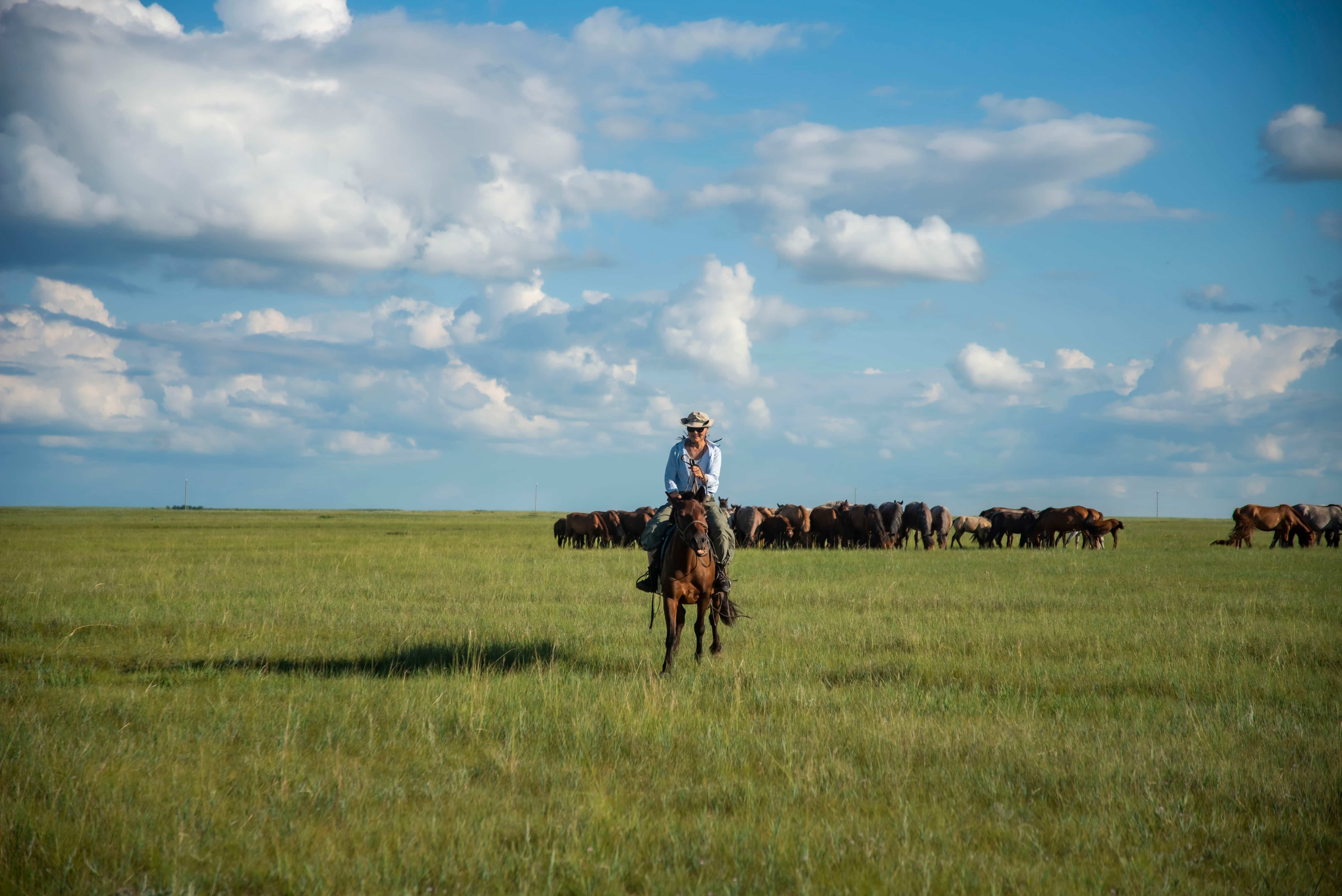 8-Day Mongolia Stargazing & Steppe Expedition (7 Nights)