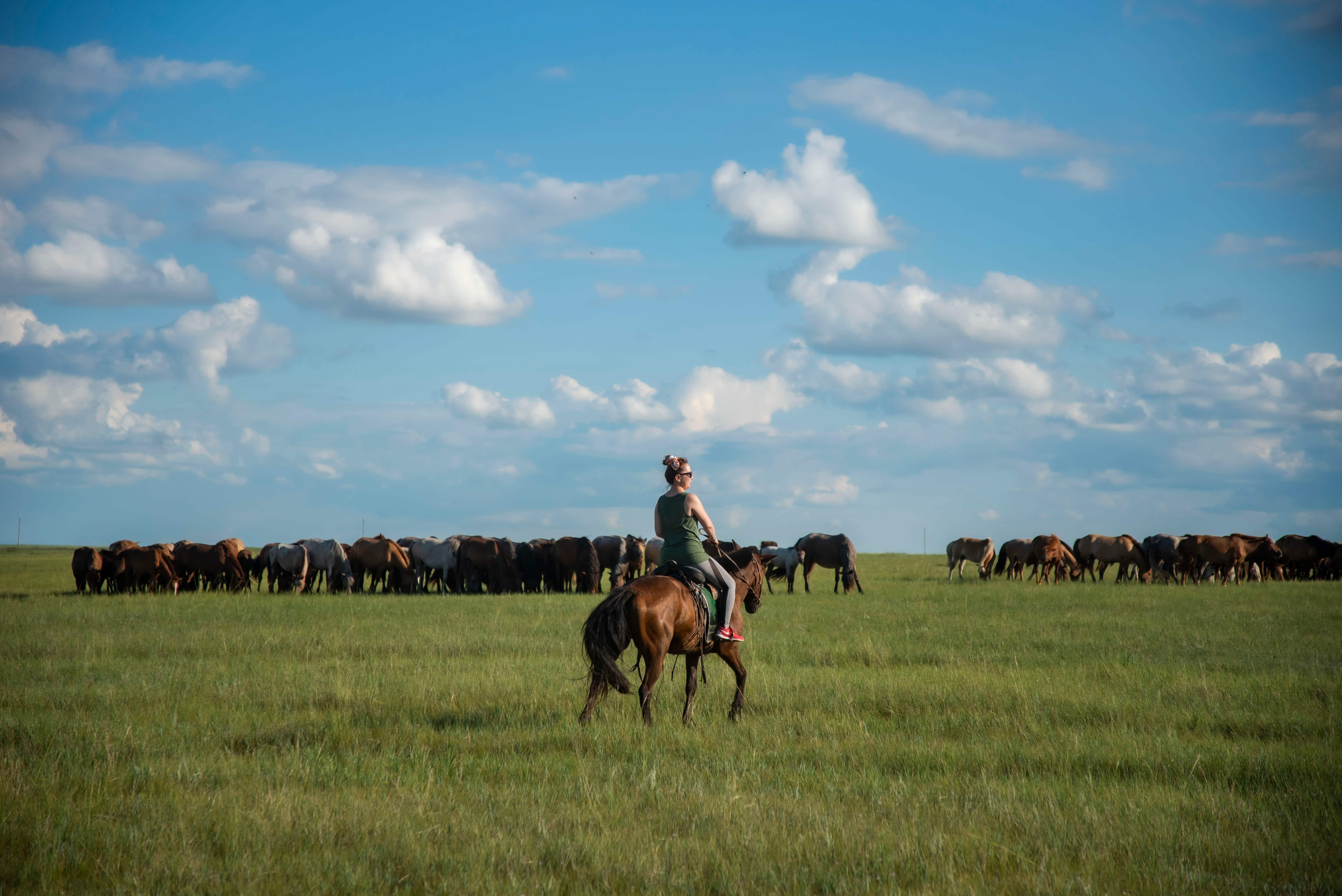 8-Day Mongolia Stargazing & Steppe Expedition (7 Nights)