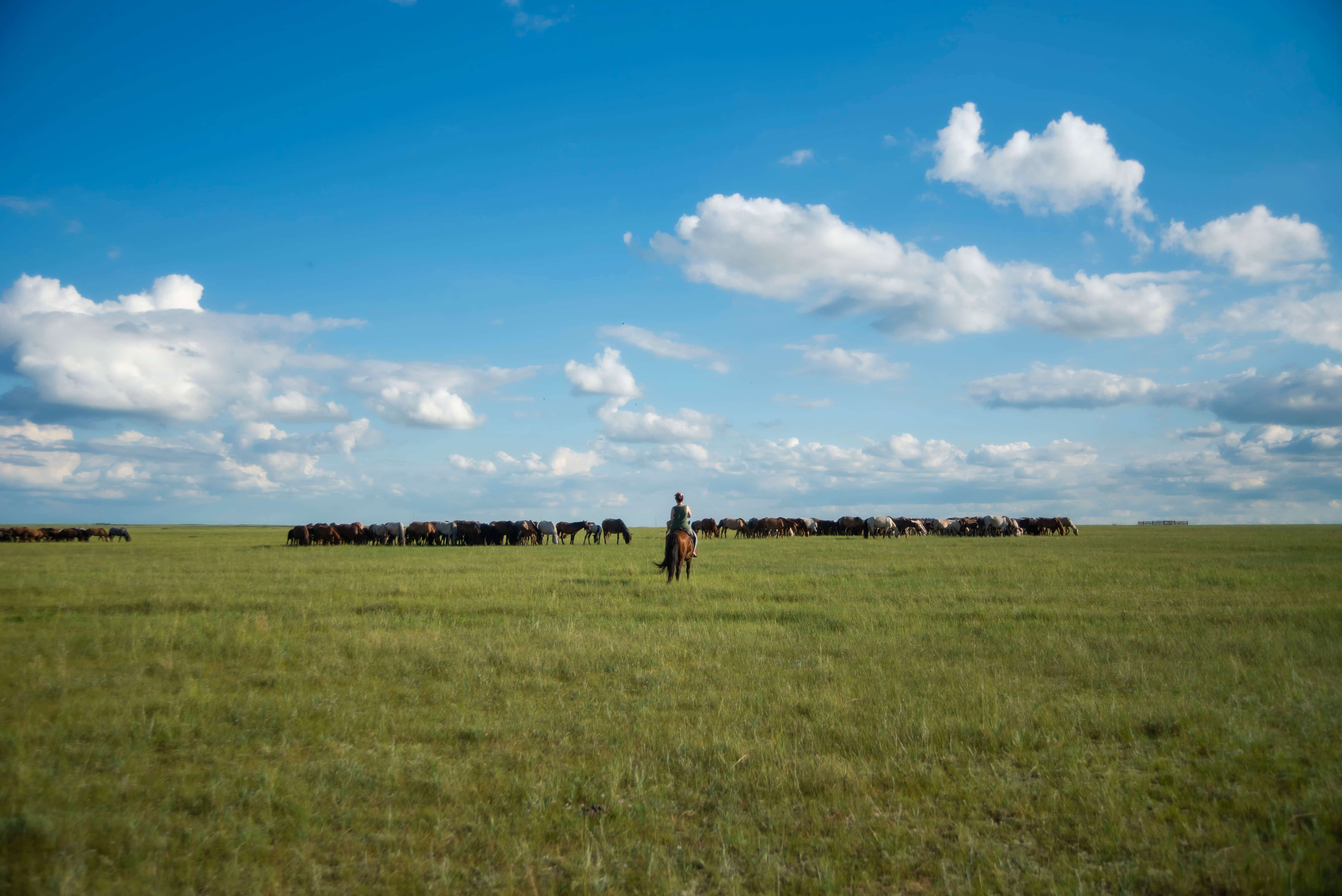 8-Day Mongolia Stargazing & Steppe Expedition (7 Nights)