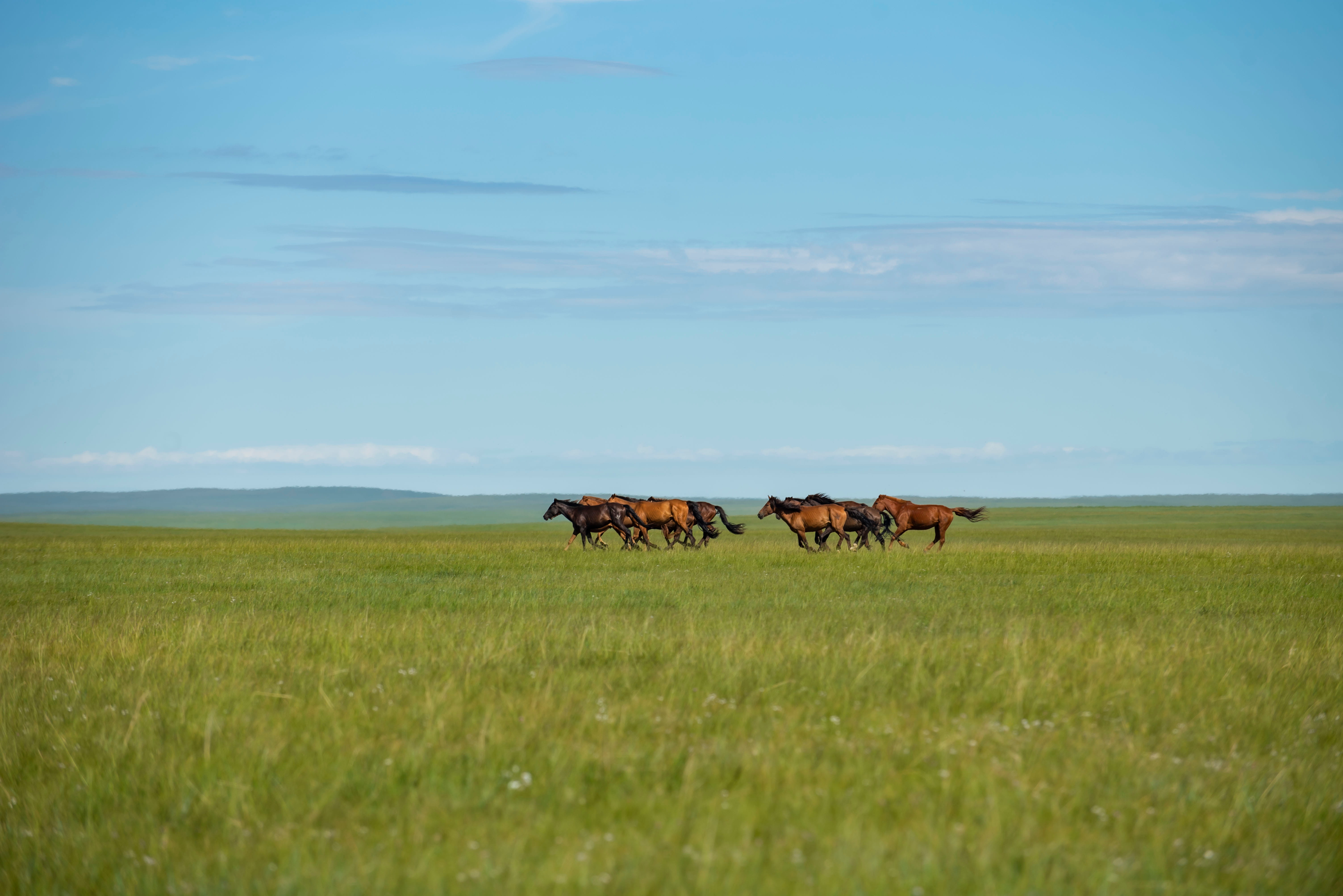 8-Day Mongolia Stargazing & Steppe Expedition (7 Nights)