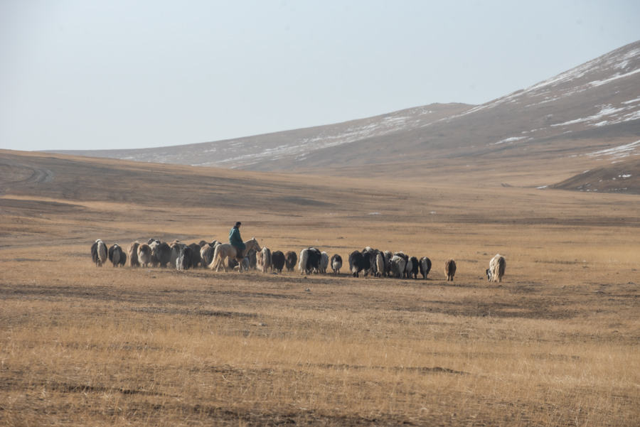 The Sacred Peak Expedition: Mount Otgontenger (4,021m)