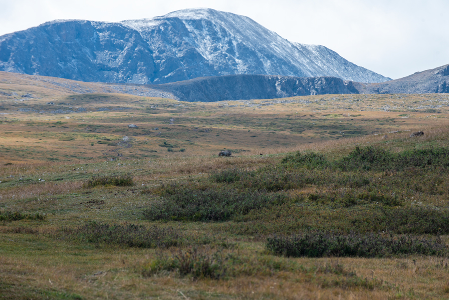The Sacred Peak Expedition: Mount Otgontenger (4,021m)